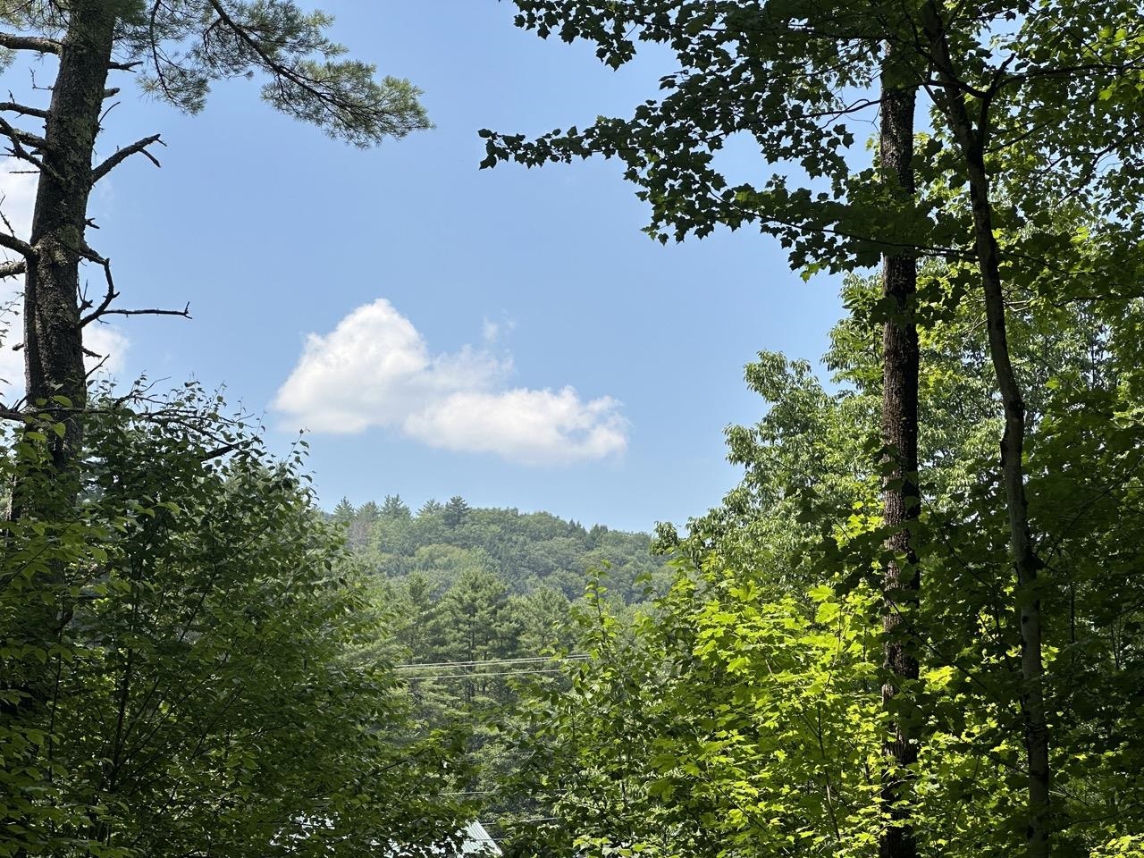 Chester VT Land for sale $115,000 | 3.35 Acres  | Price Per Acre $0 
