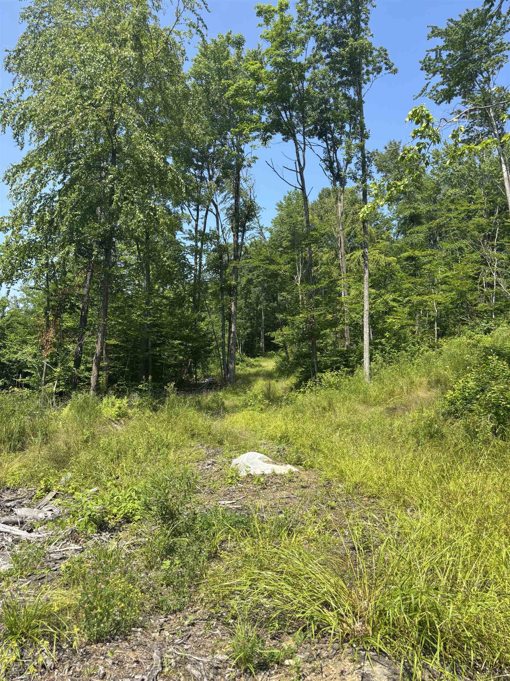 Old Trail