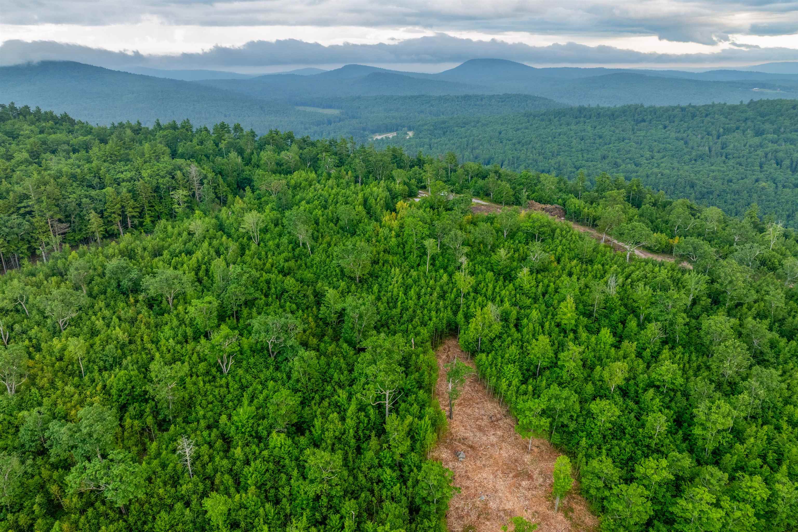 MLS #5053115 image #9