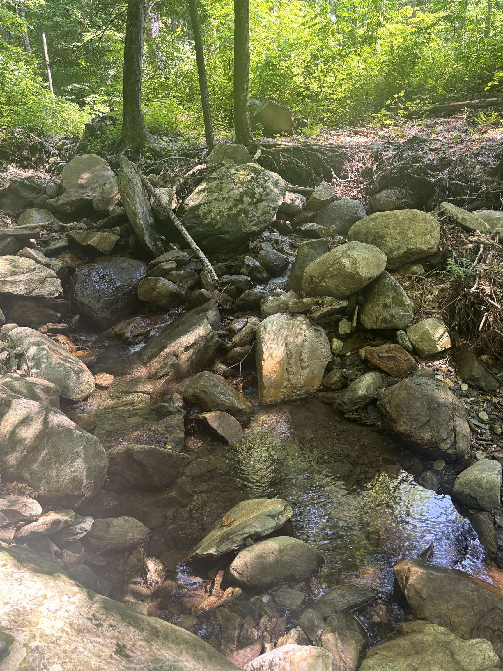 Homes for sale in Salisbury, VT | Upper Plains Rd, Salisbury, VT 05769 | MLS# 5053360