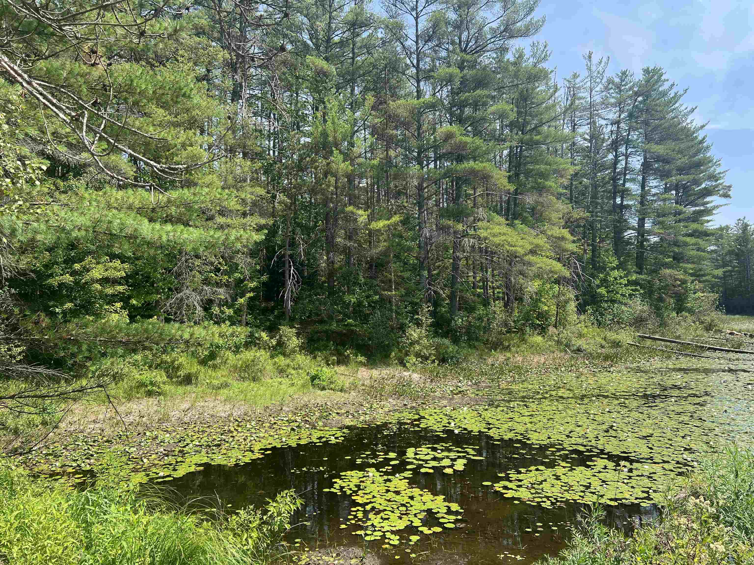 MLS #5053361 image #10