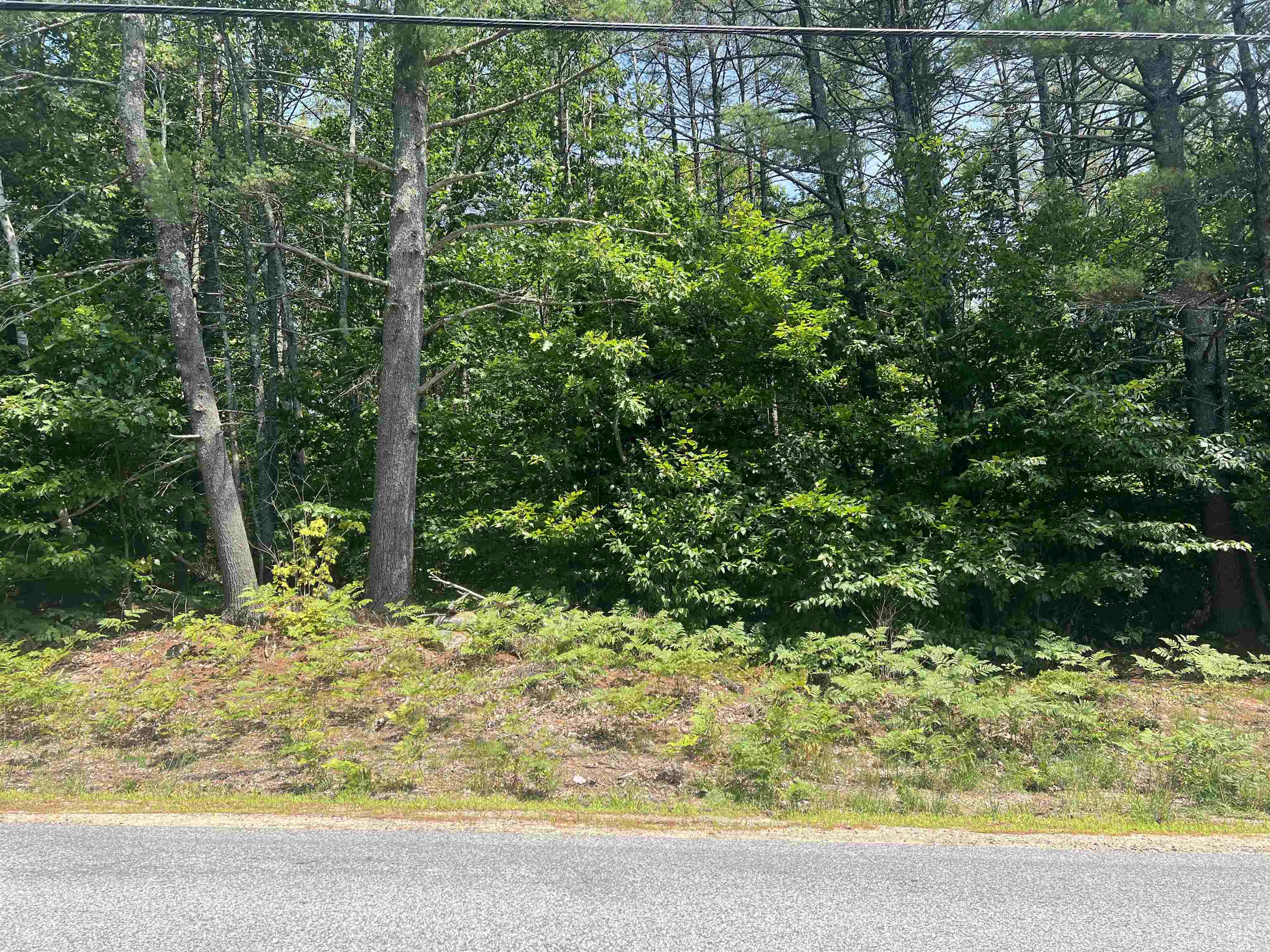 MLS #5053361 image #2