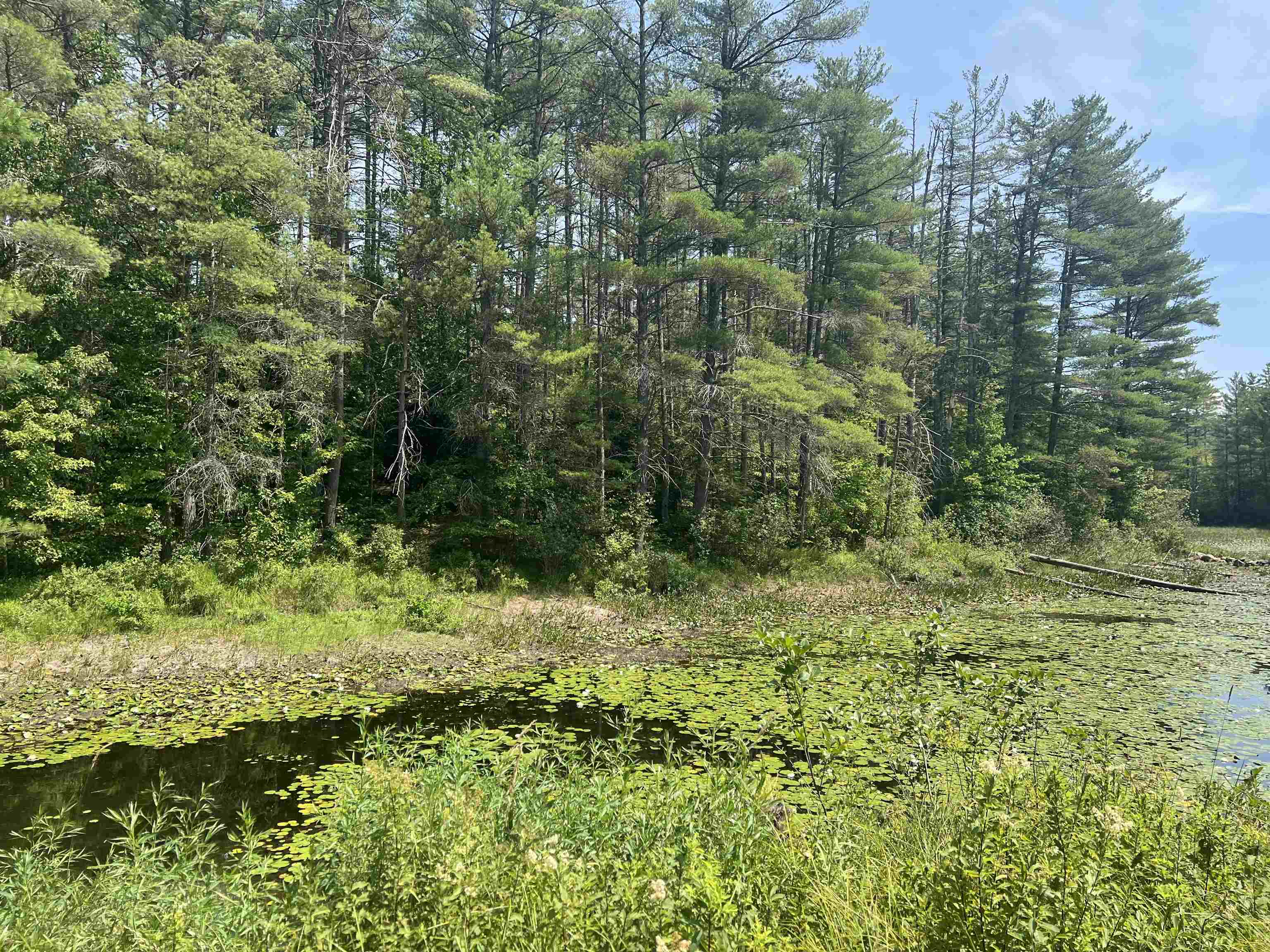 MLS #5053361 image #6