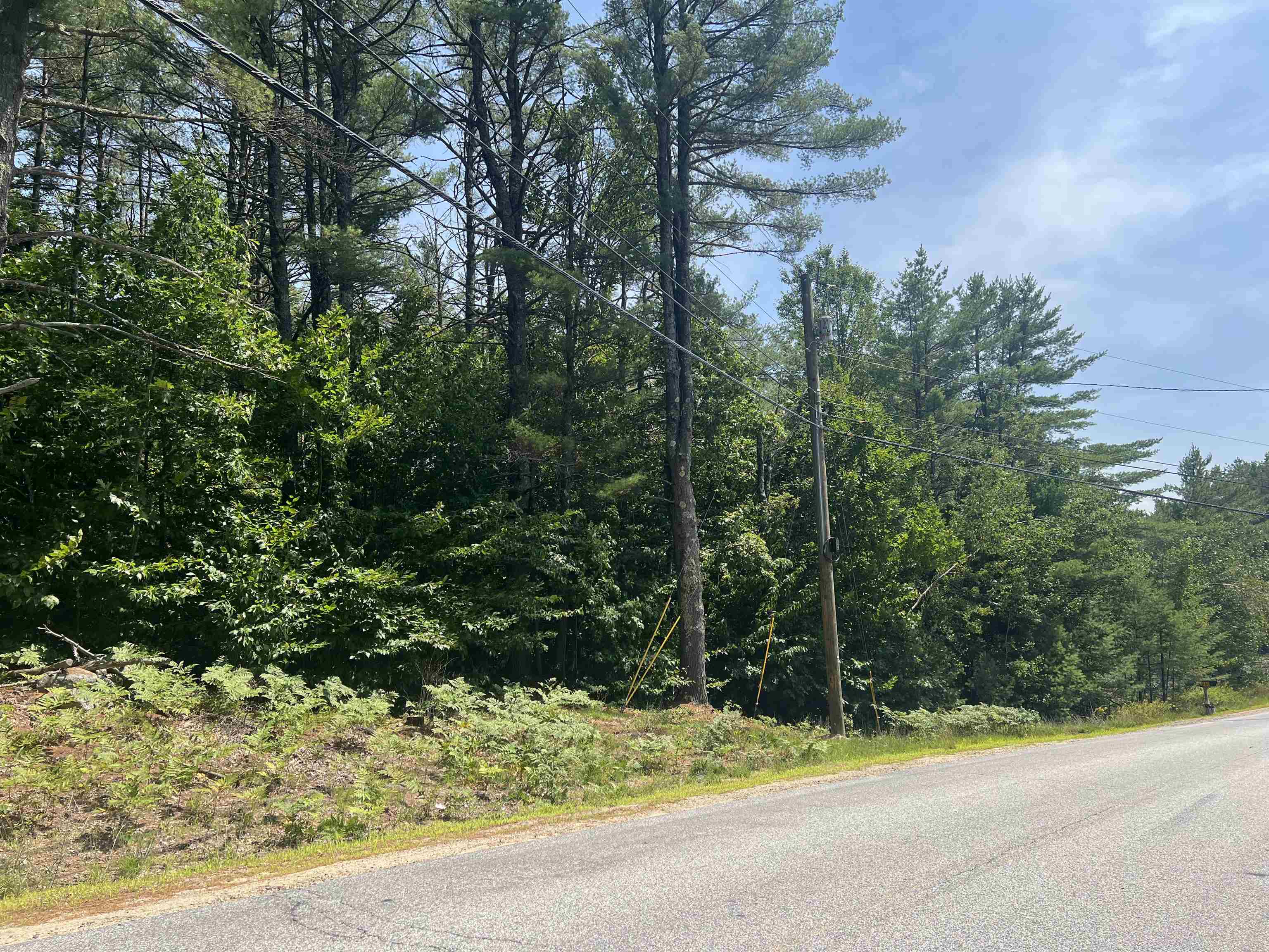 MLS #5053361 image #8