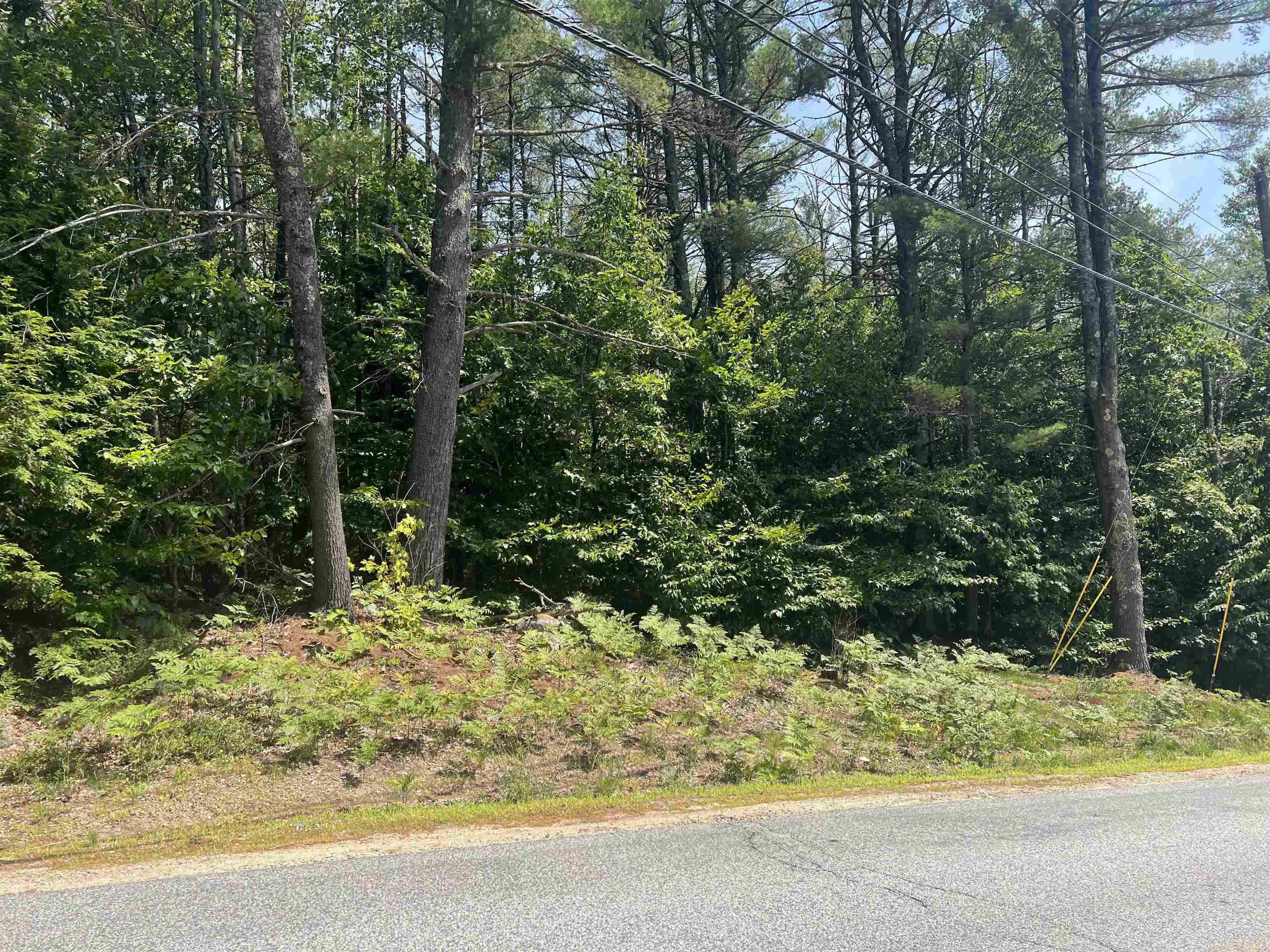 MLS #5053361 image #9