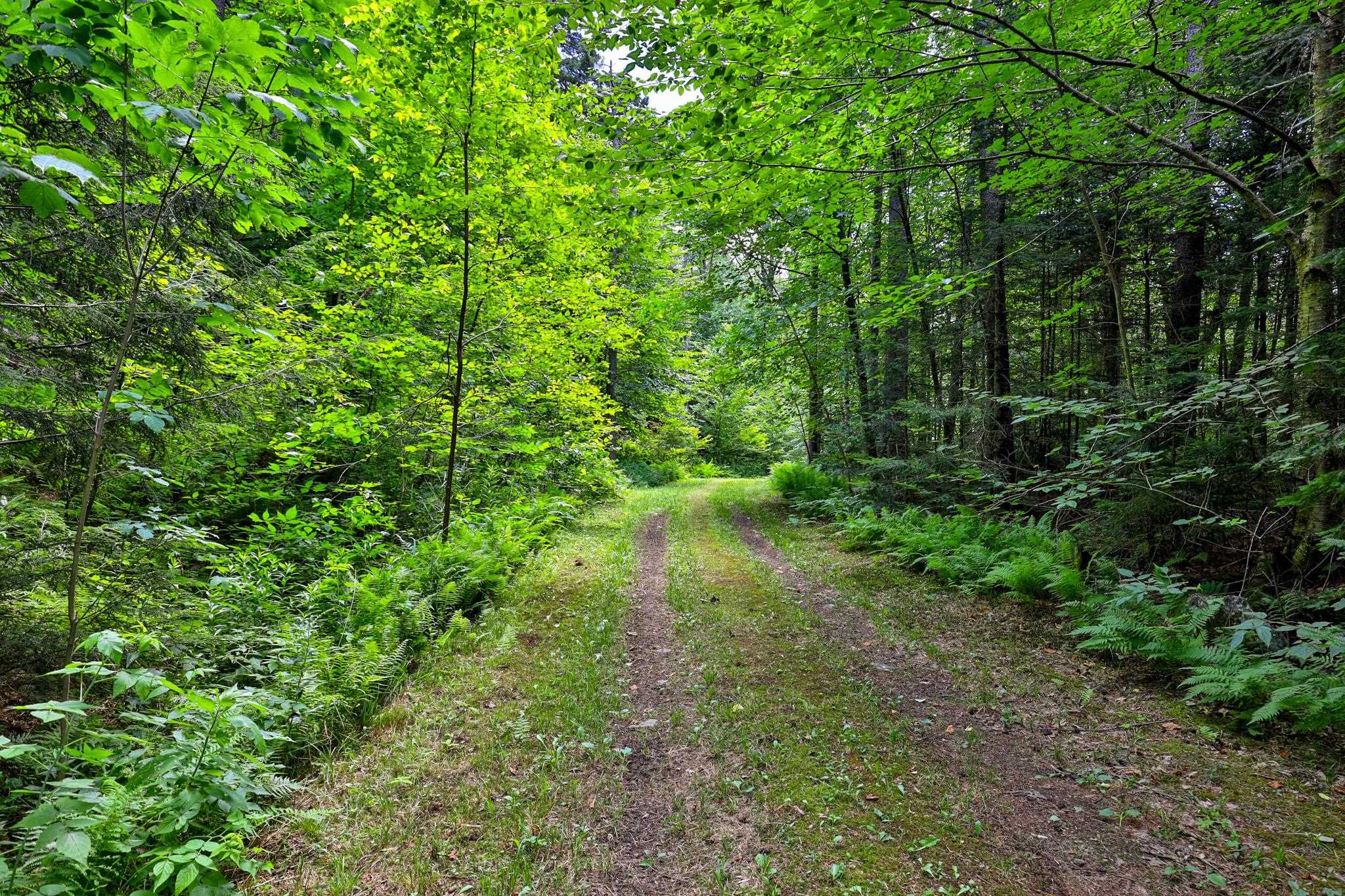 Miles of trails for onsite adventure