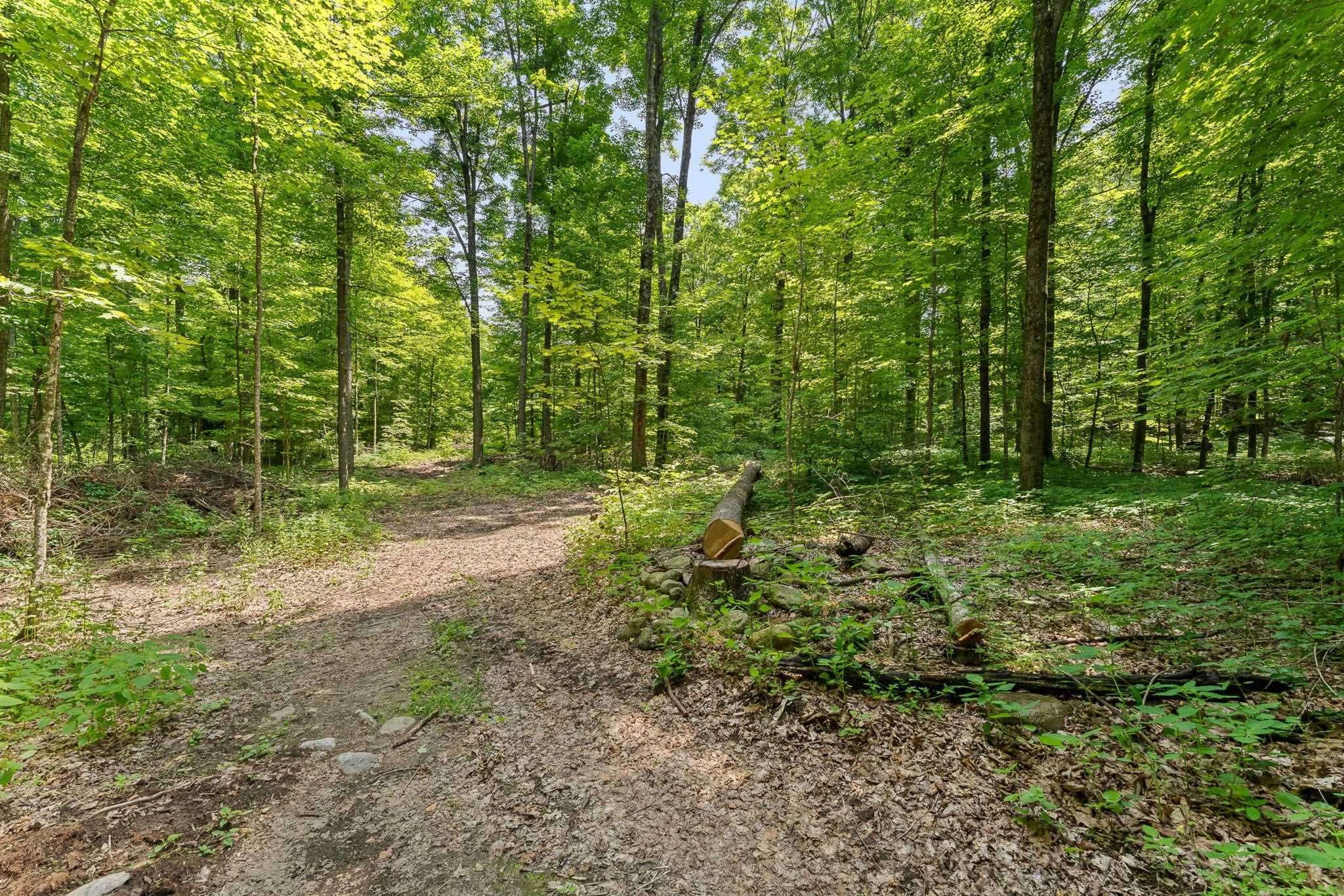 MLS #5053393 image #14