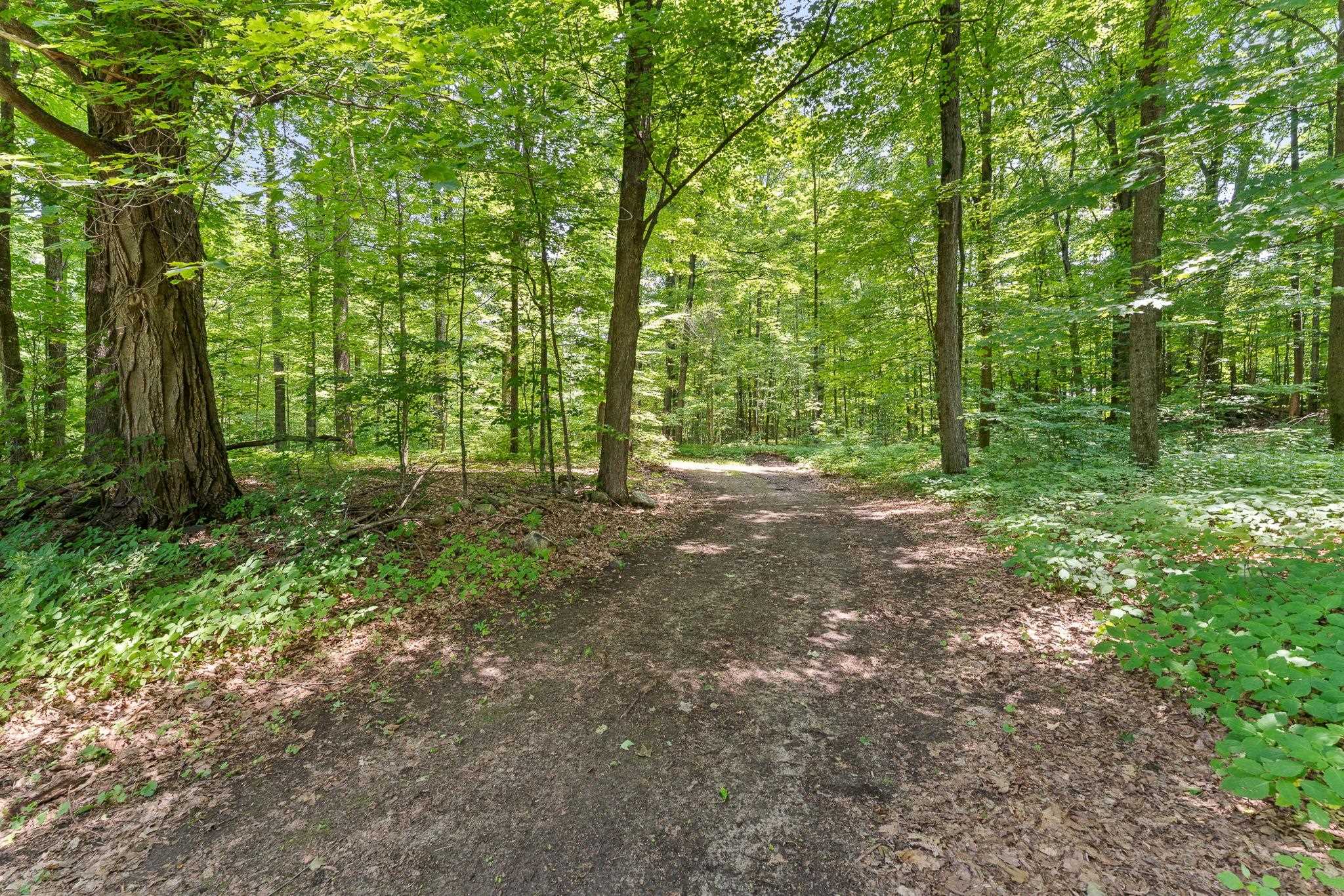 MLS #5053393 image #16