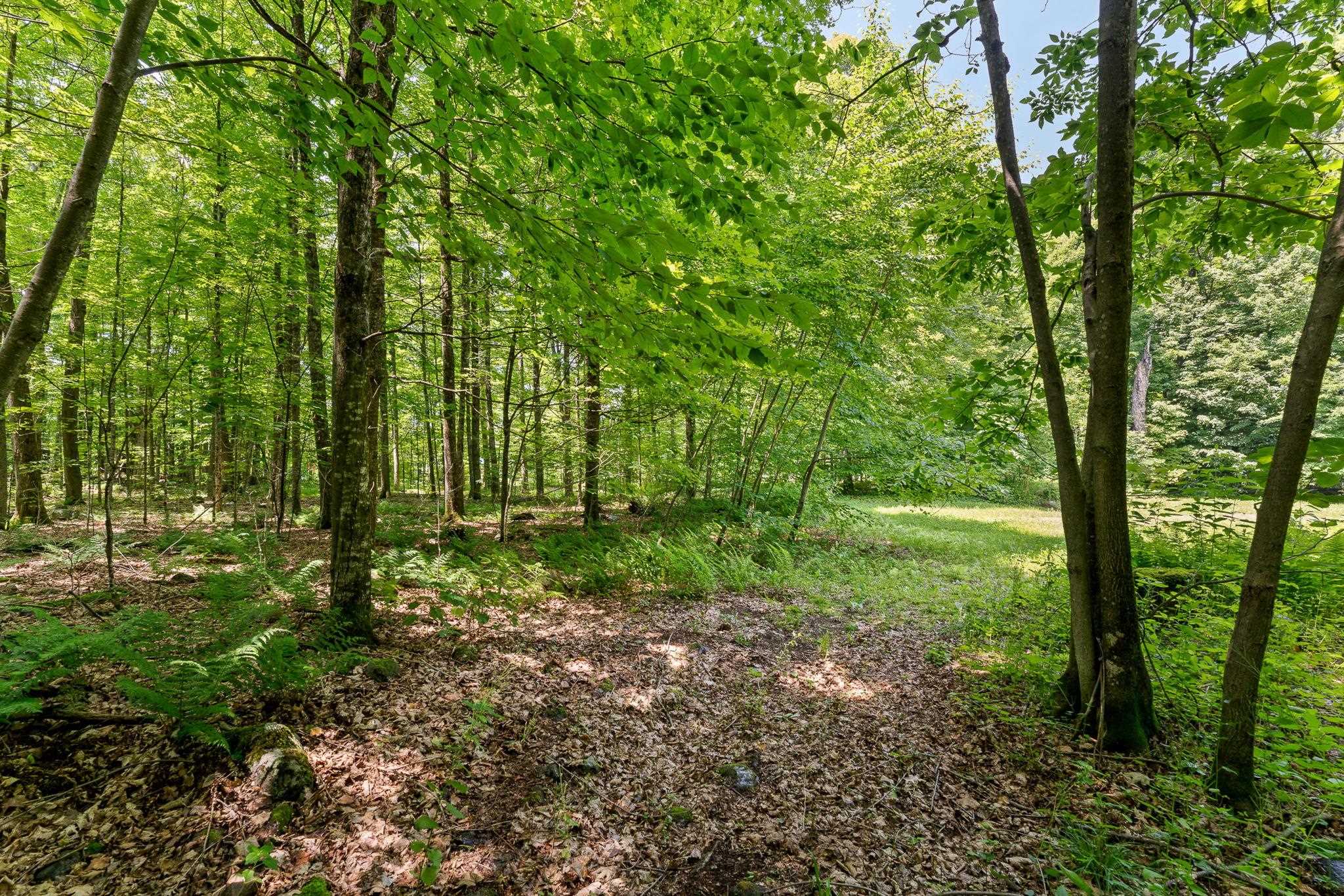 MLS #5053393 image #18