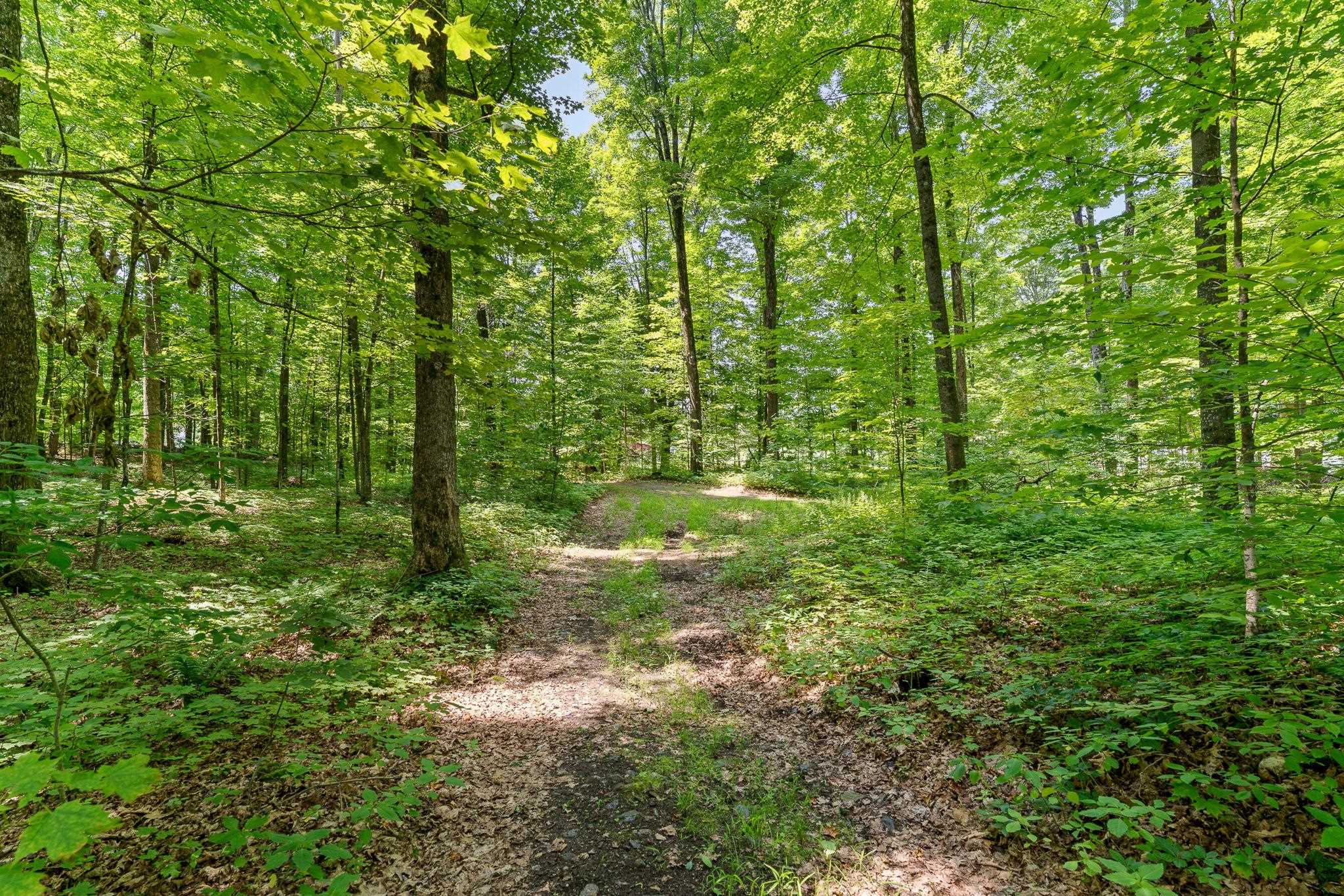 MLS #5053393 image #19