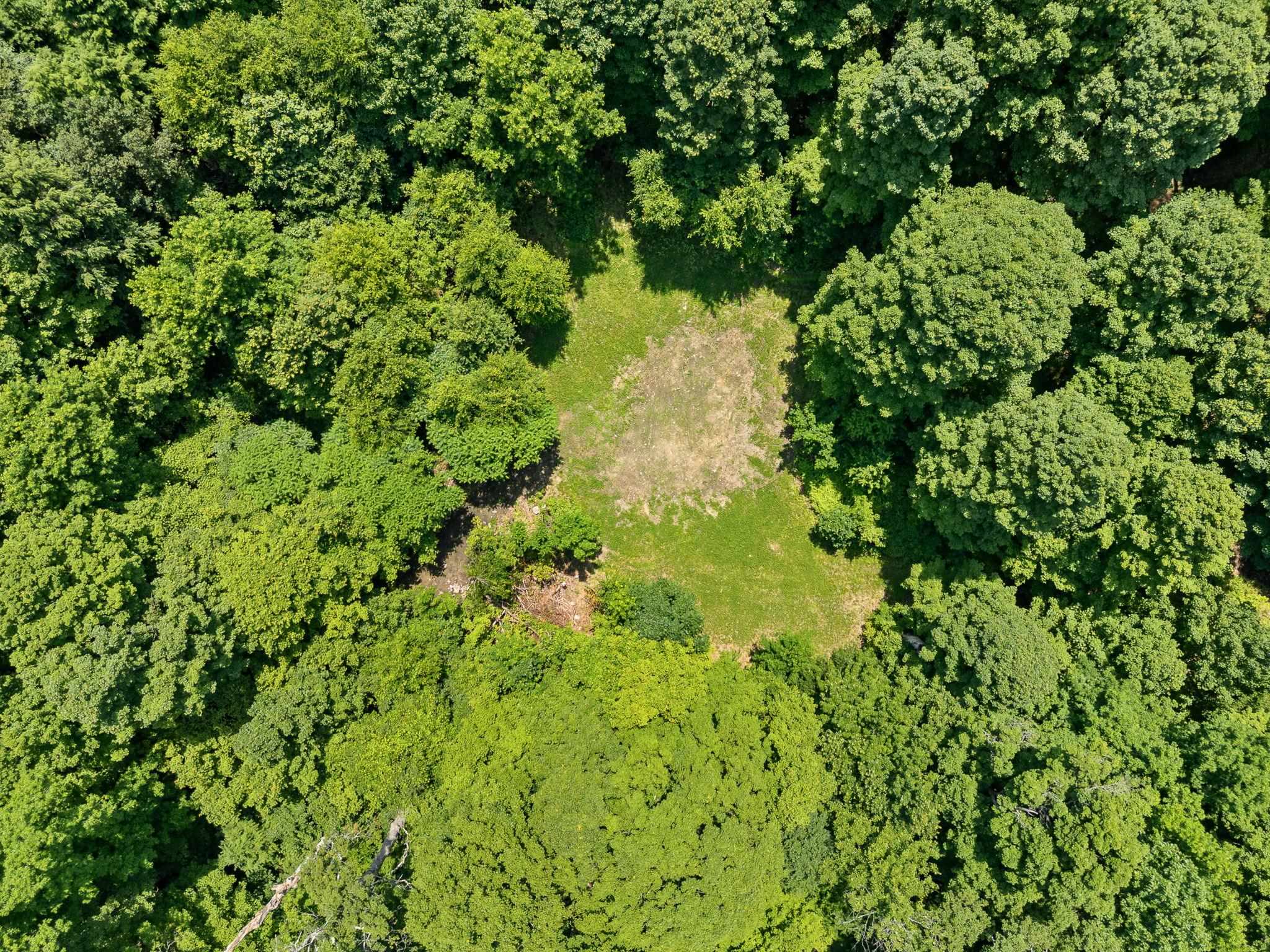 MLS #5053393 image #22