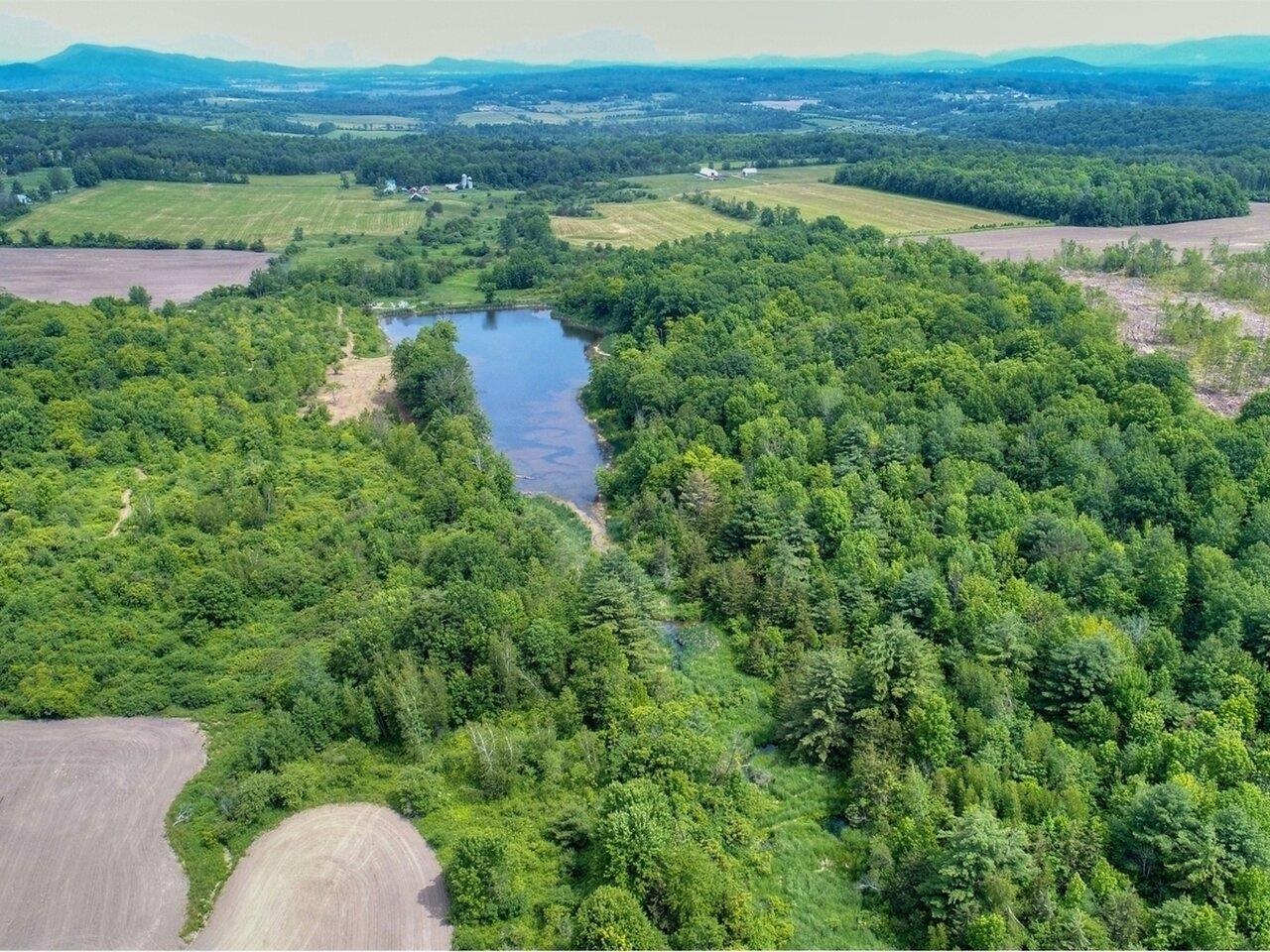 Maturing woodland to the east