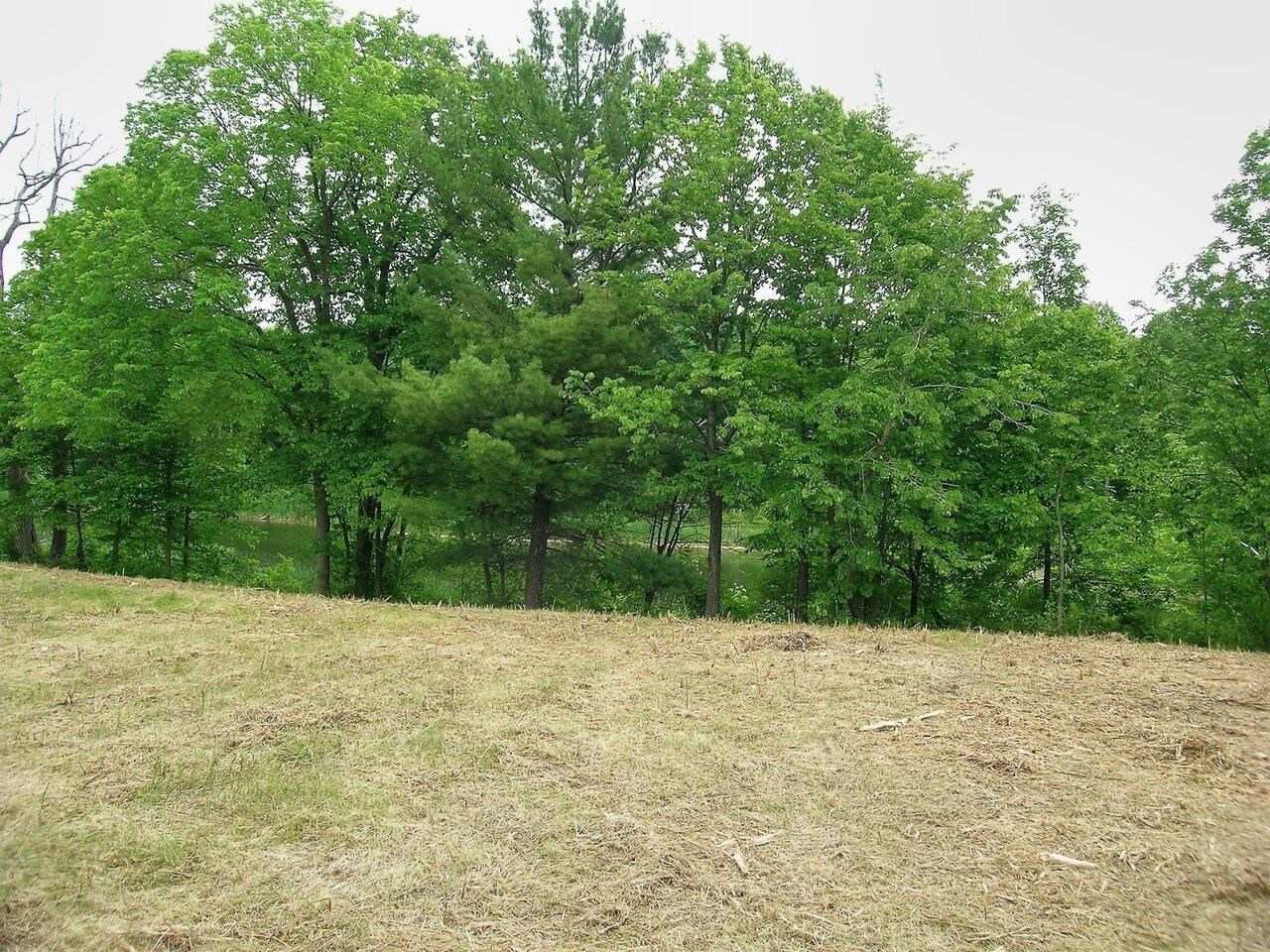 Septic design for 5-bed home