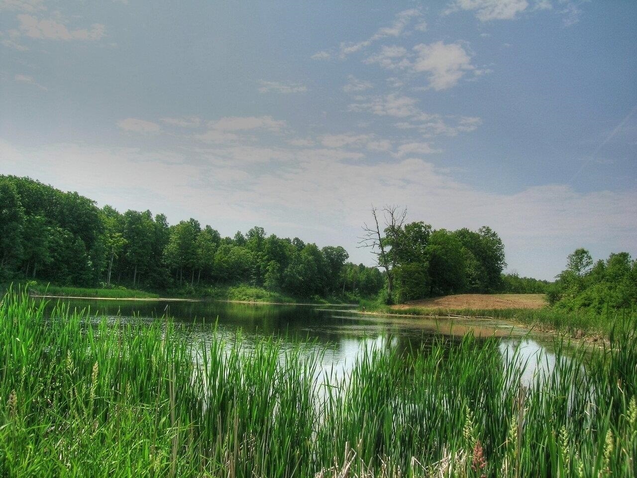 Fantastic natural habitat!