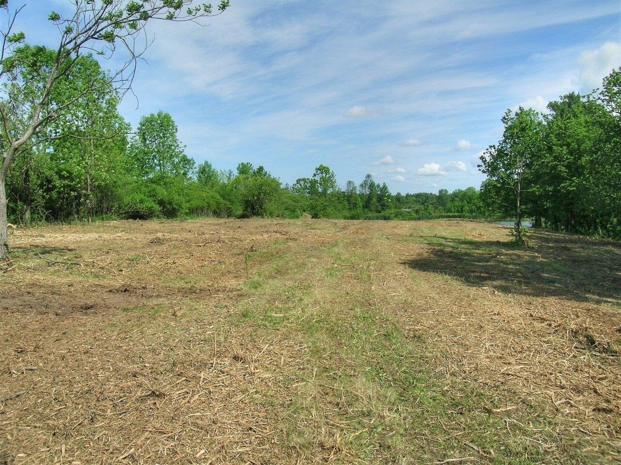 Site bordered by old orchard