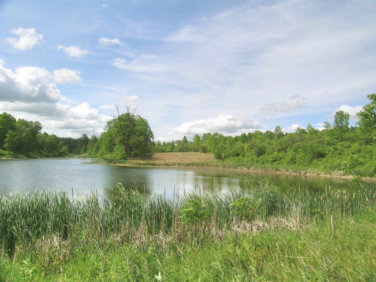 Your 37-acre nature reserve!