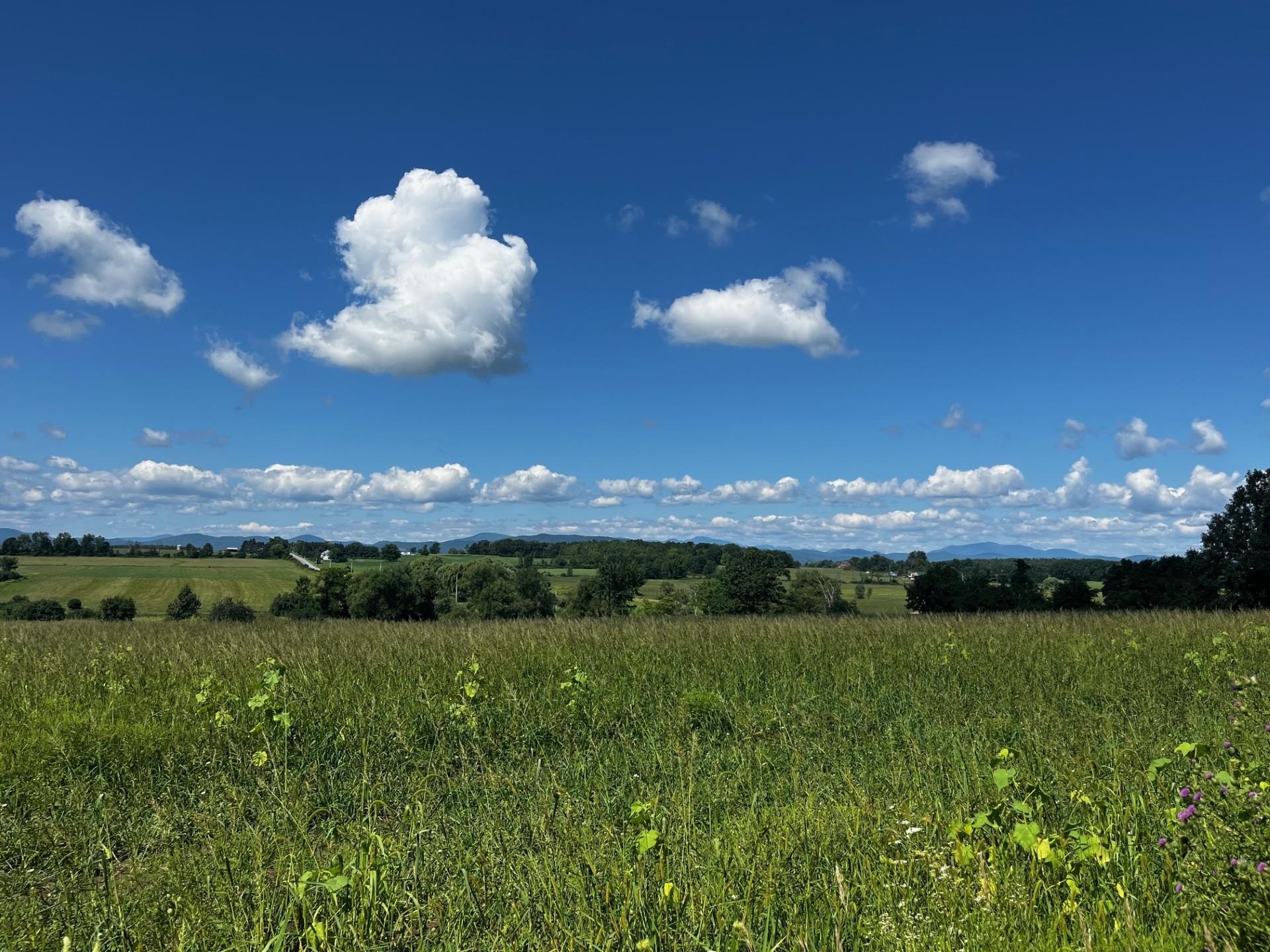 Bridport VT Land for sale $279,000 | 58 Acres  | Price Per Acre $0 