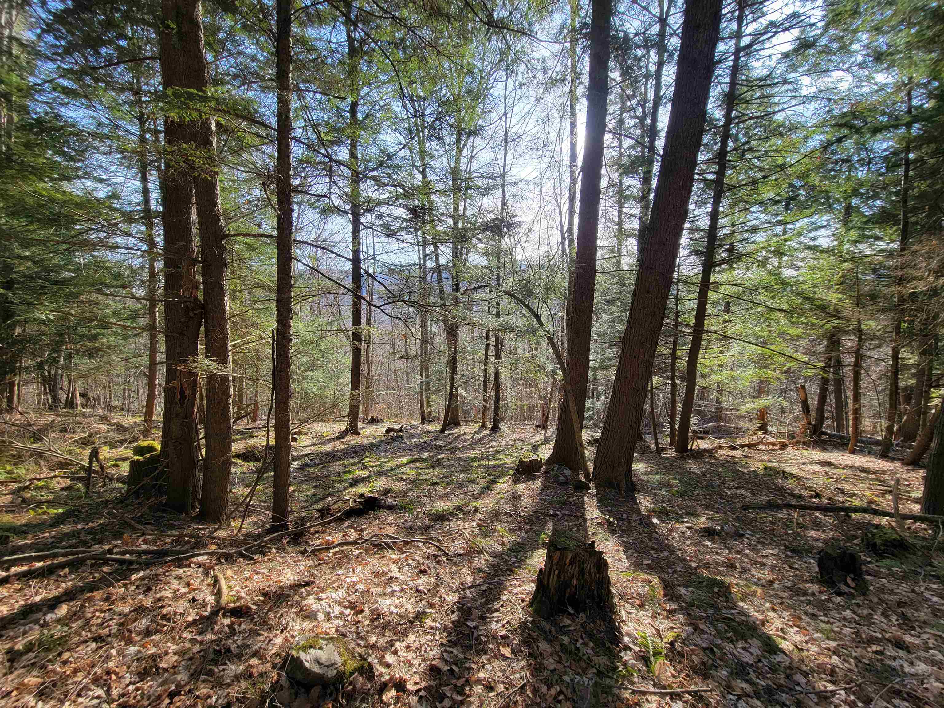 Monkton VT Land for sale $140,000 | 16.4 Acres  | Price Per Acre $0 