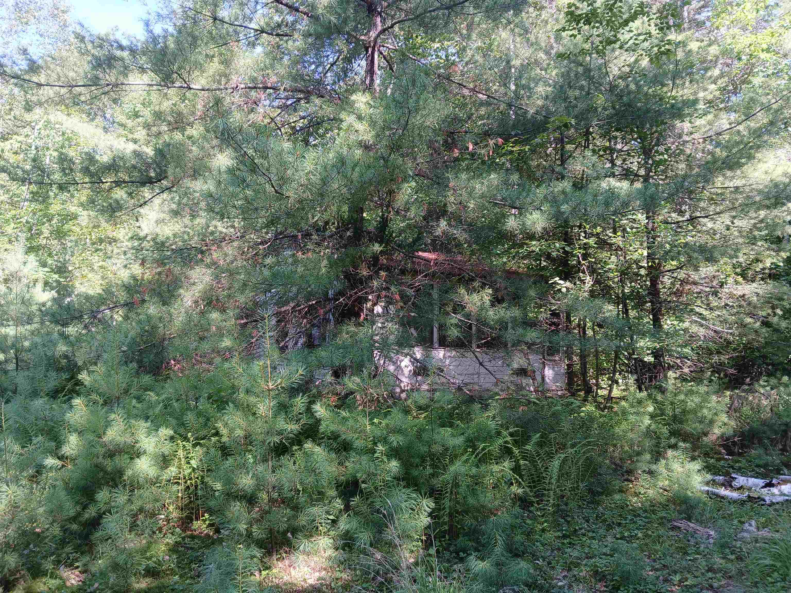 Homes for sale in Tuftonboro, NH | 106 Middle Rd, Tuftonboro, NH 03816 | MLS# 5053816