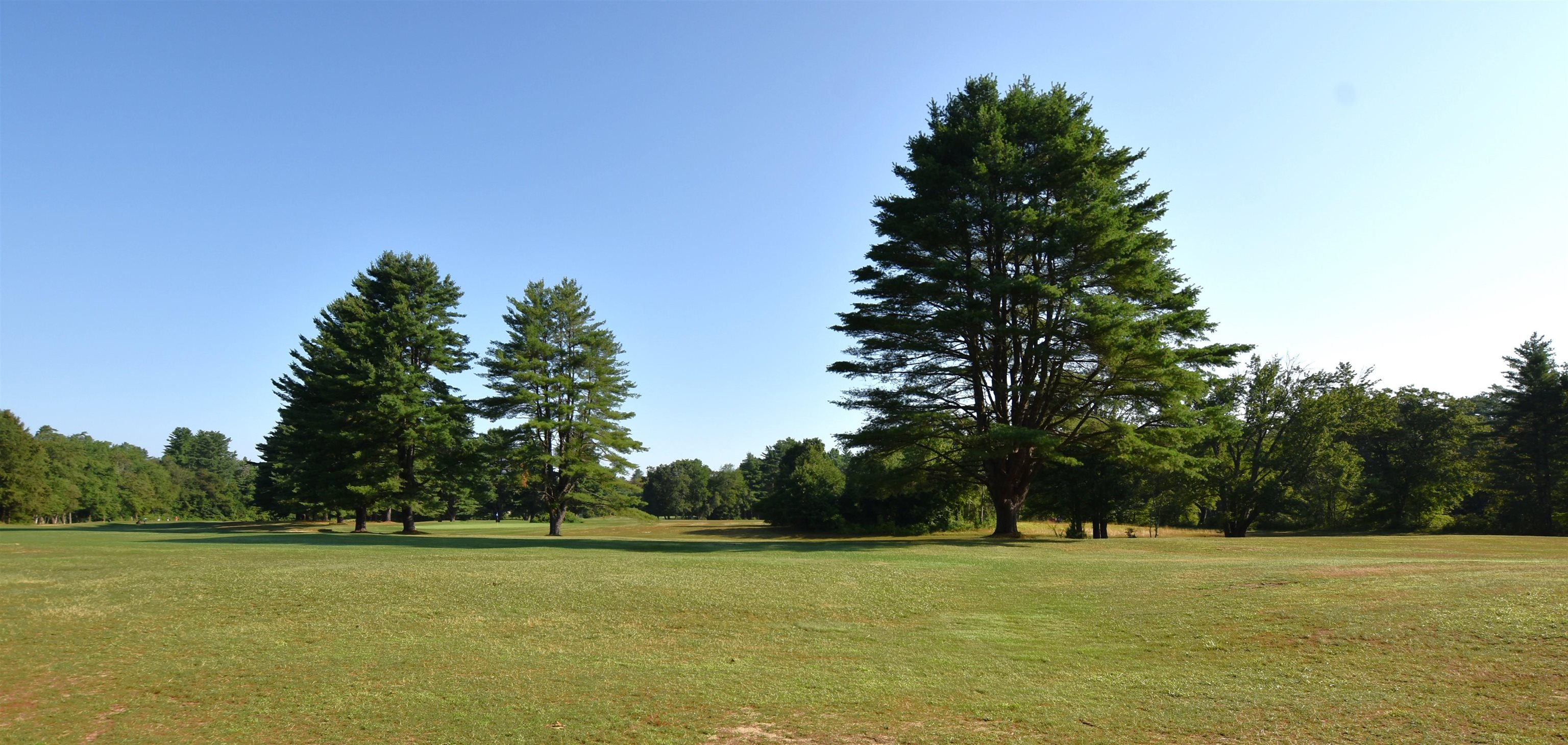 MLS #5053906 image #10