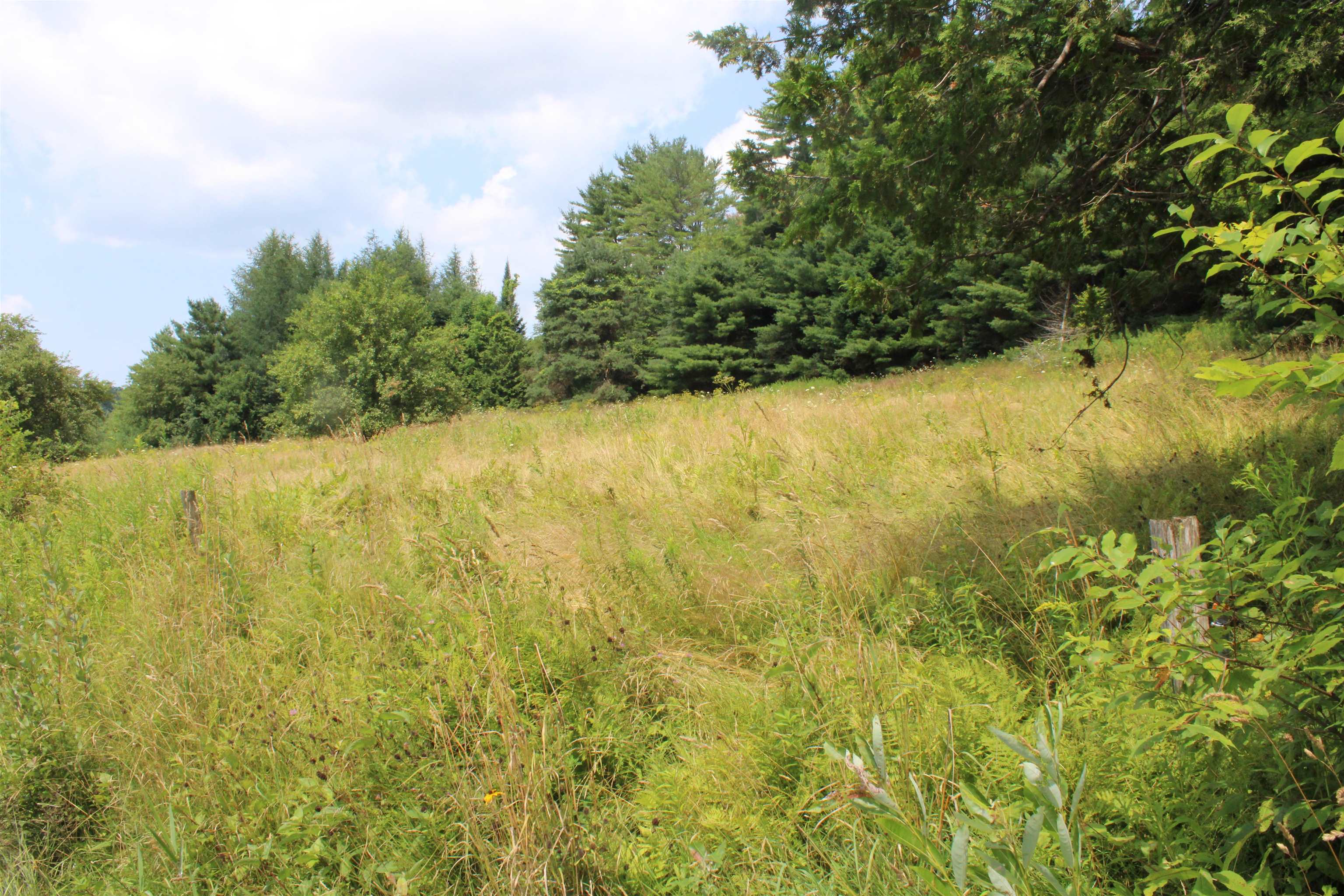 Adjoining lot