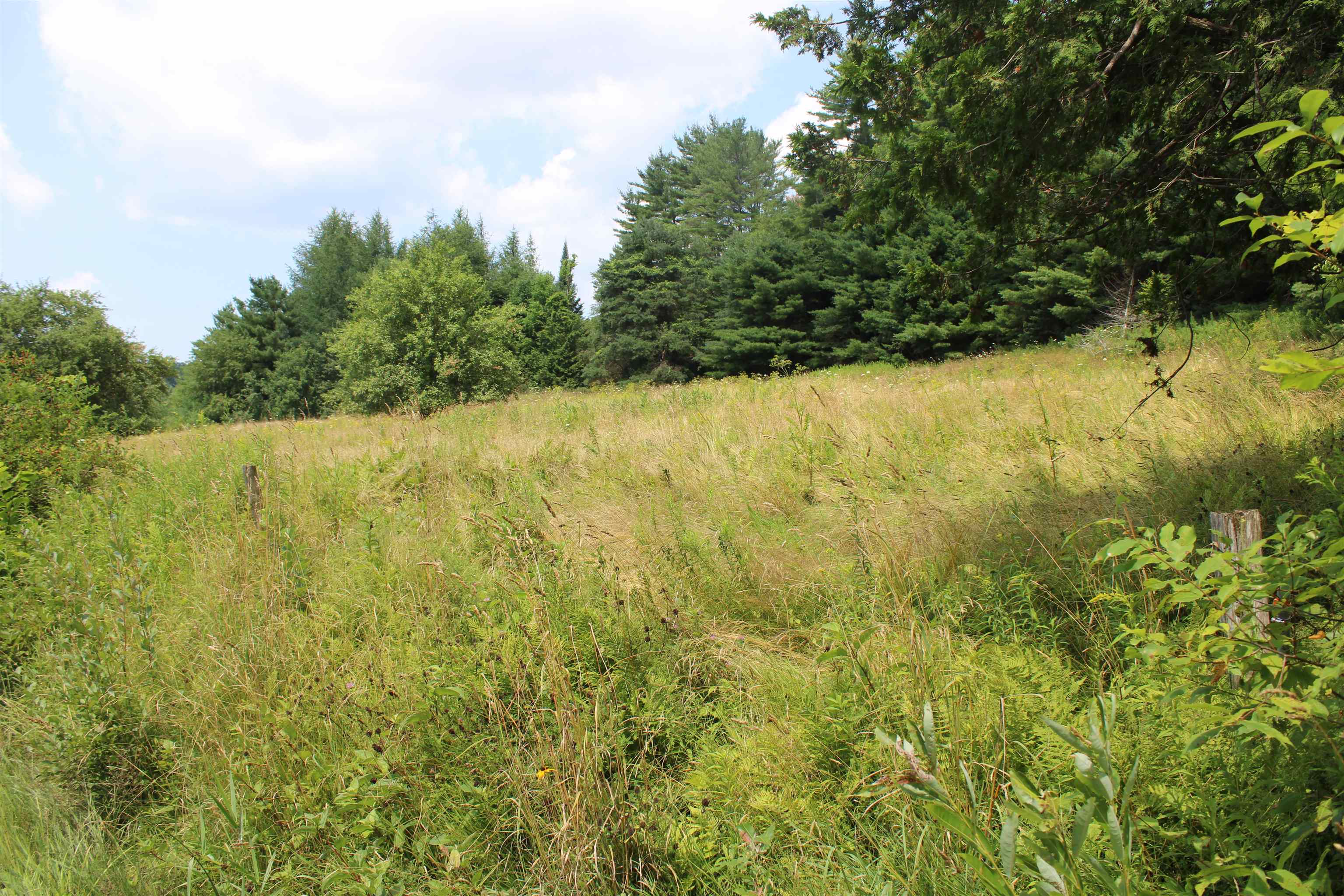Adjoining lot
