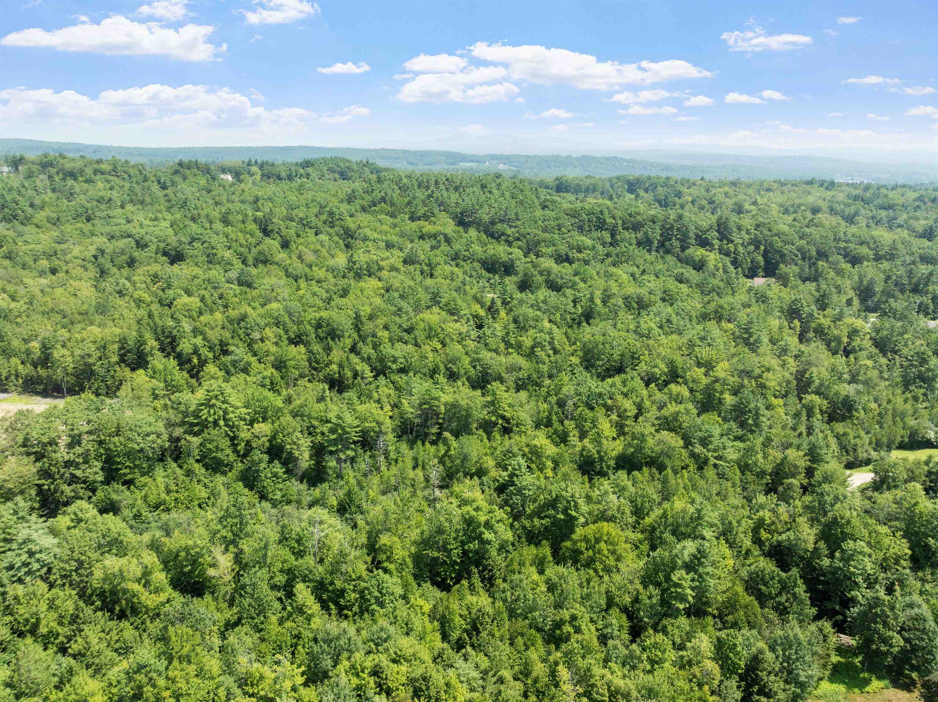 MLS #5054184 image #3