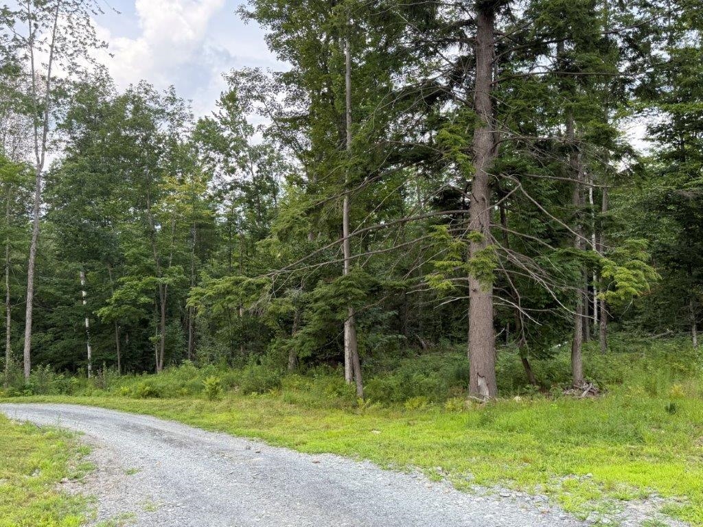 Hardpack Driveway 23789873