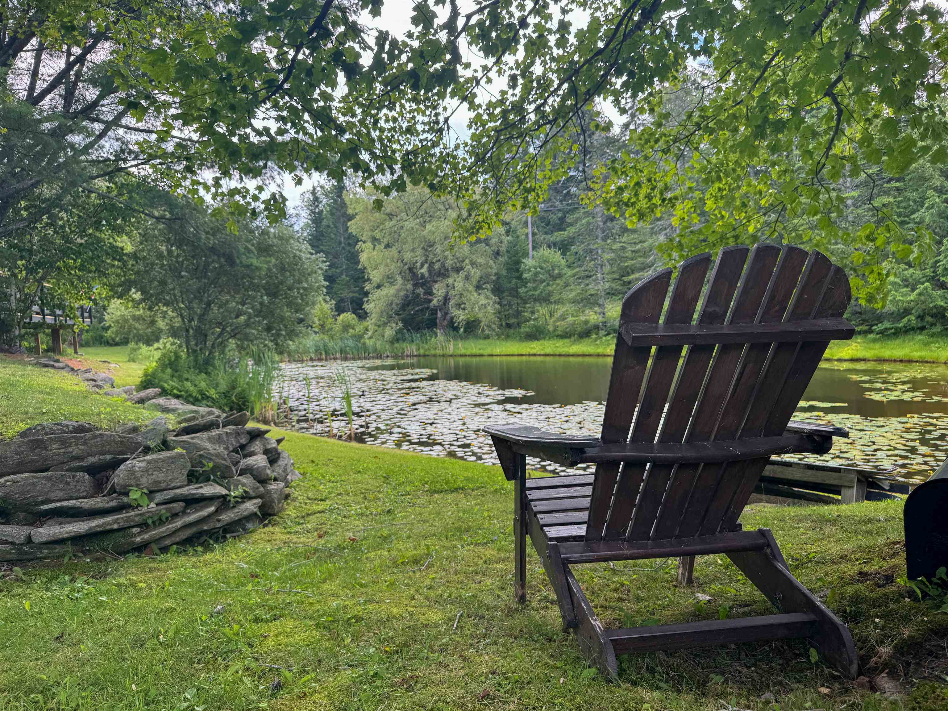 Peaceful Setting