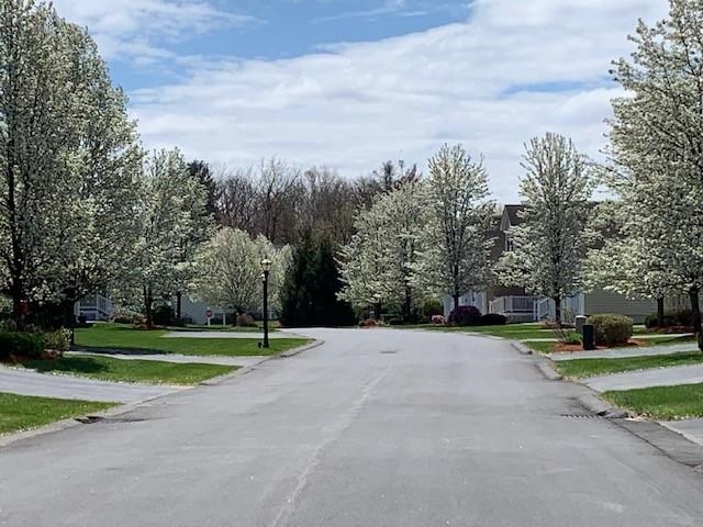 Photo 49 of 59