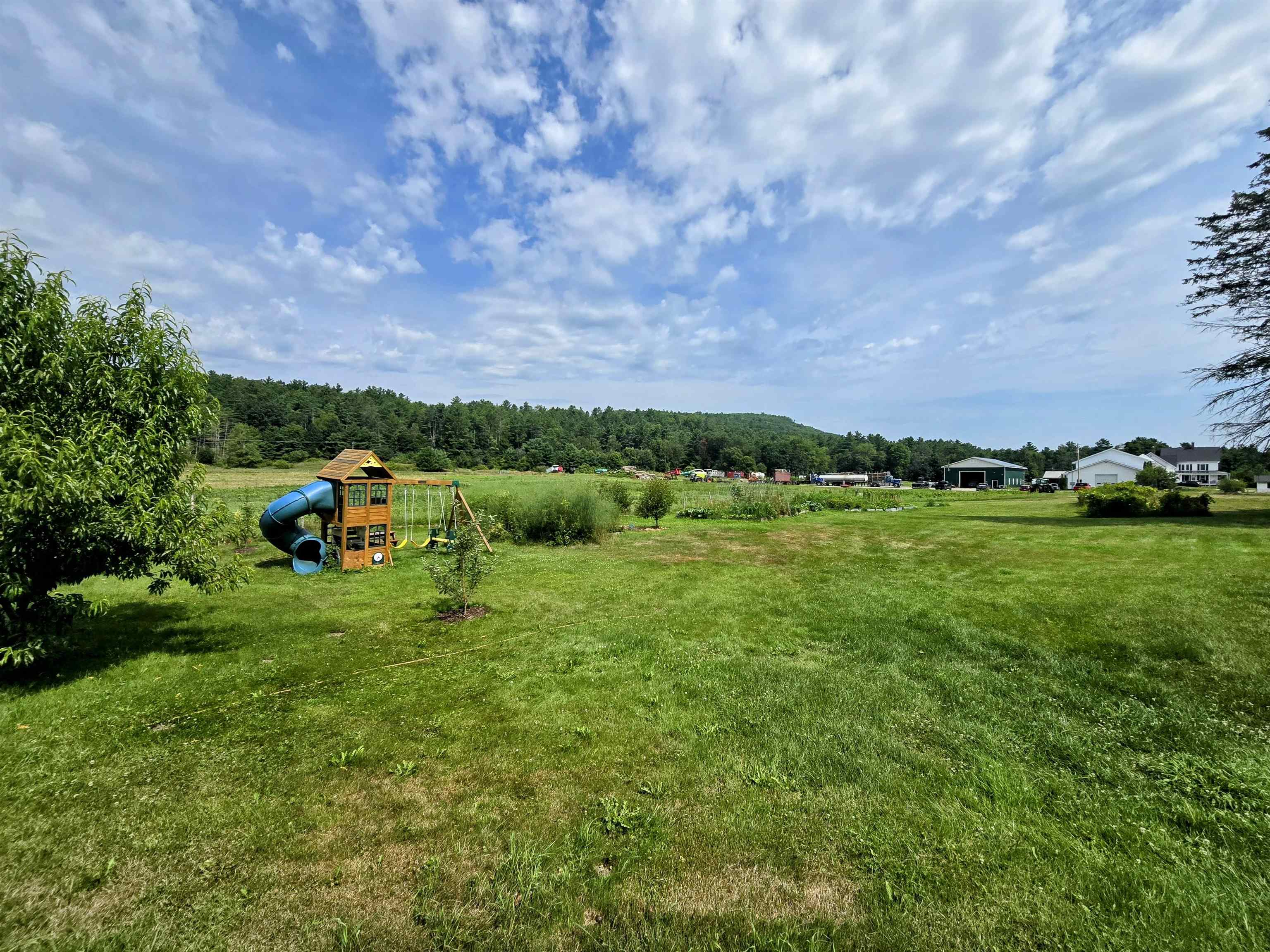 1.2 acres of manicured lawn, raised beds & fruit trees