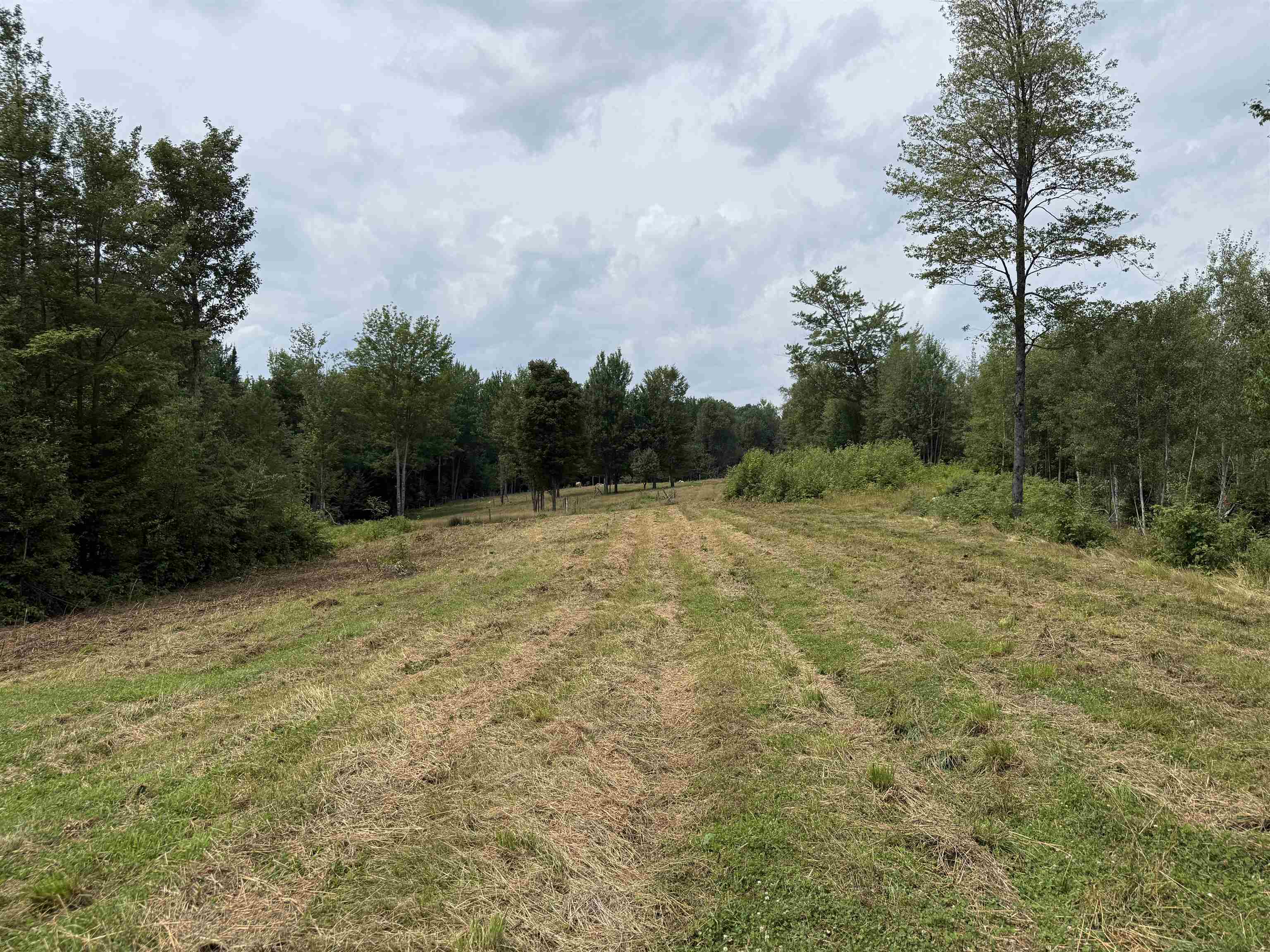 Cabot VT Land for sale $79,000 | 3.16 Acres  | Price Per Acre $0 