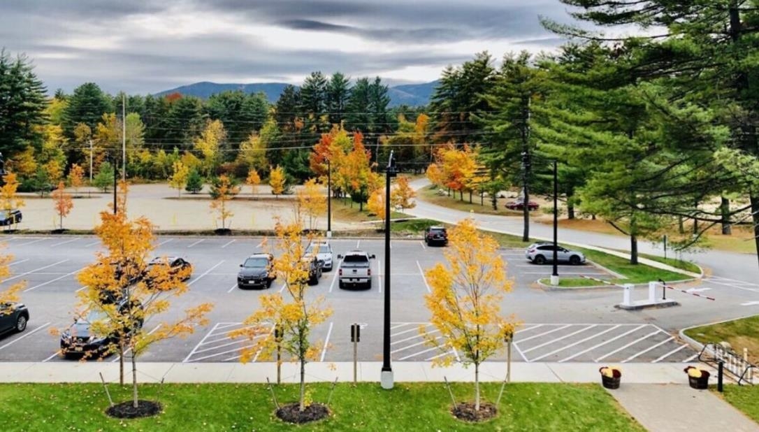 MLS #5054678 image #29