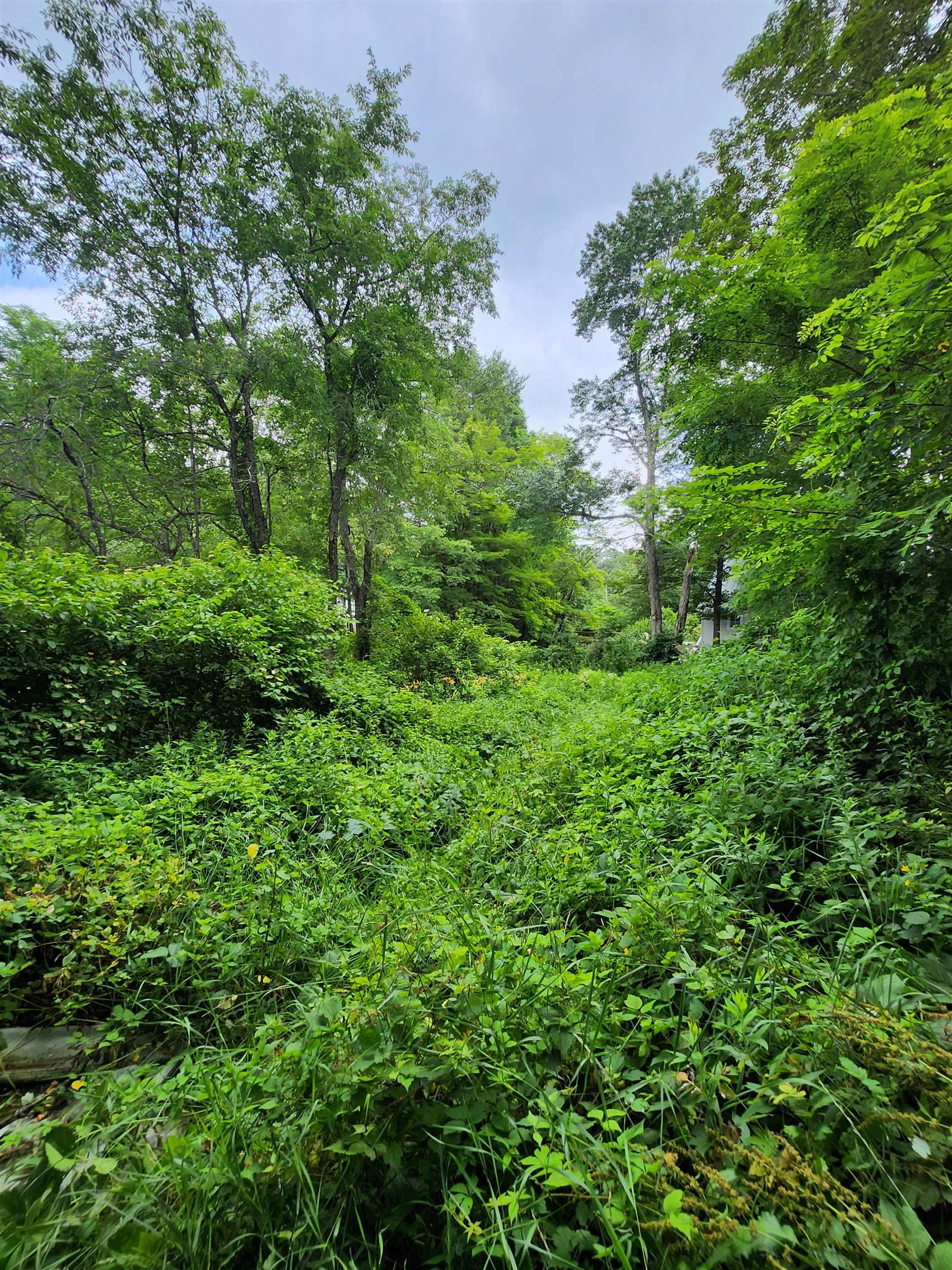 MLS #5054688 image #8