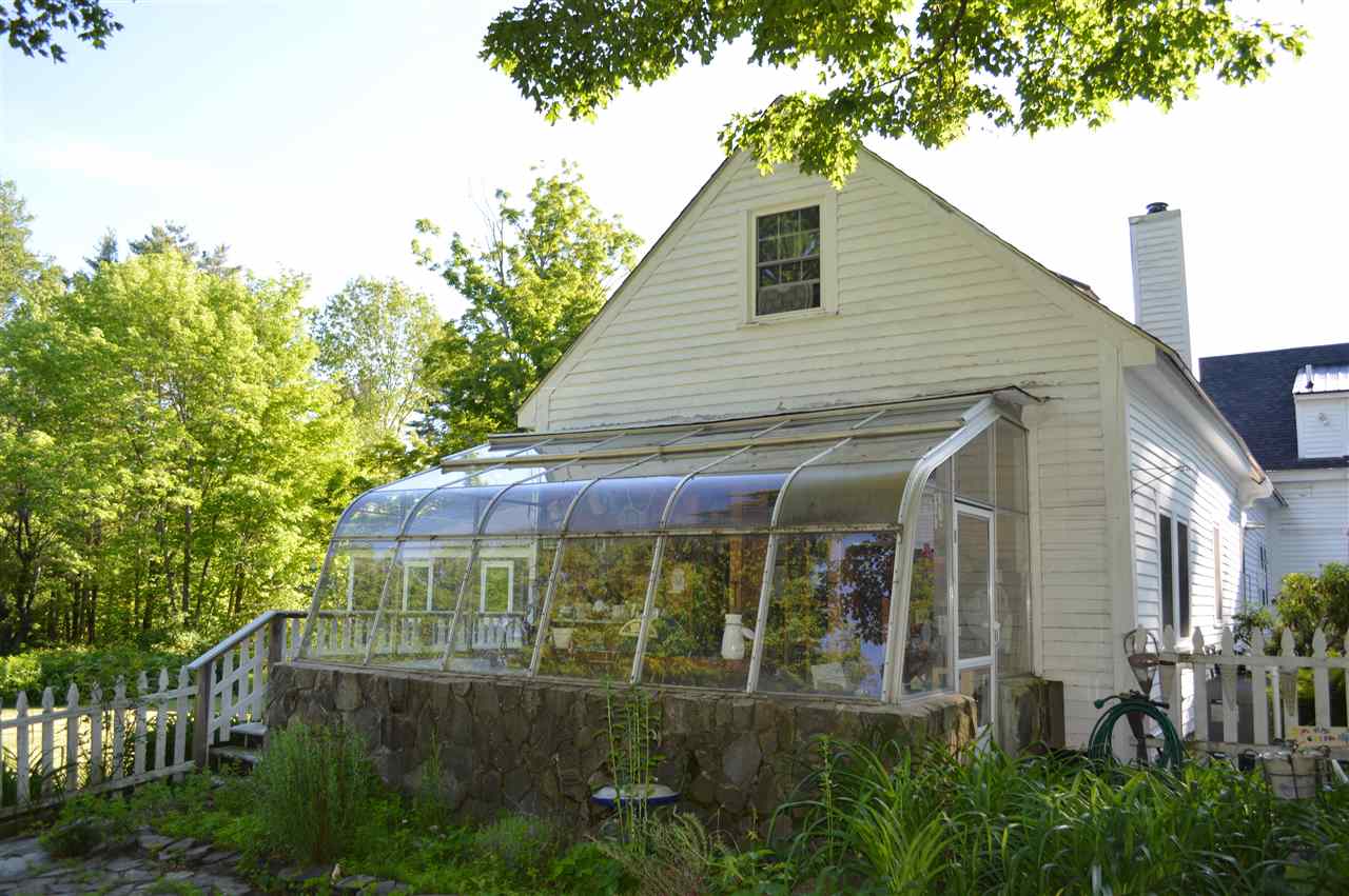 Greenhouse Close-up