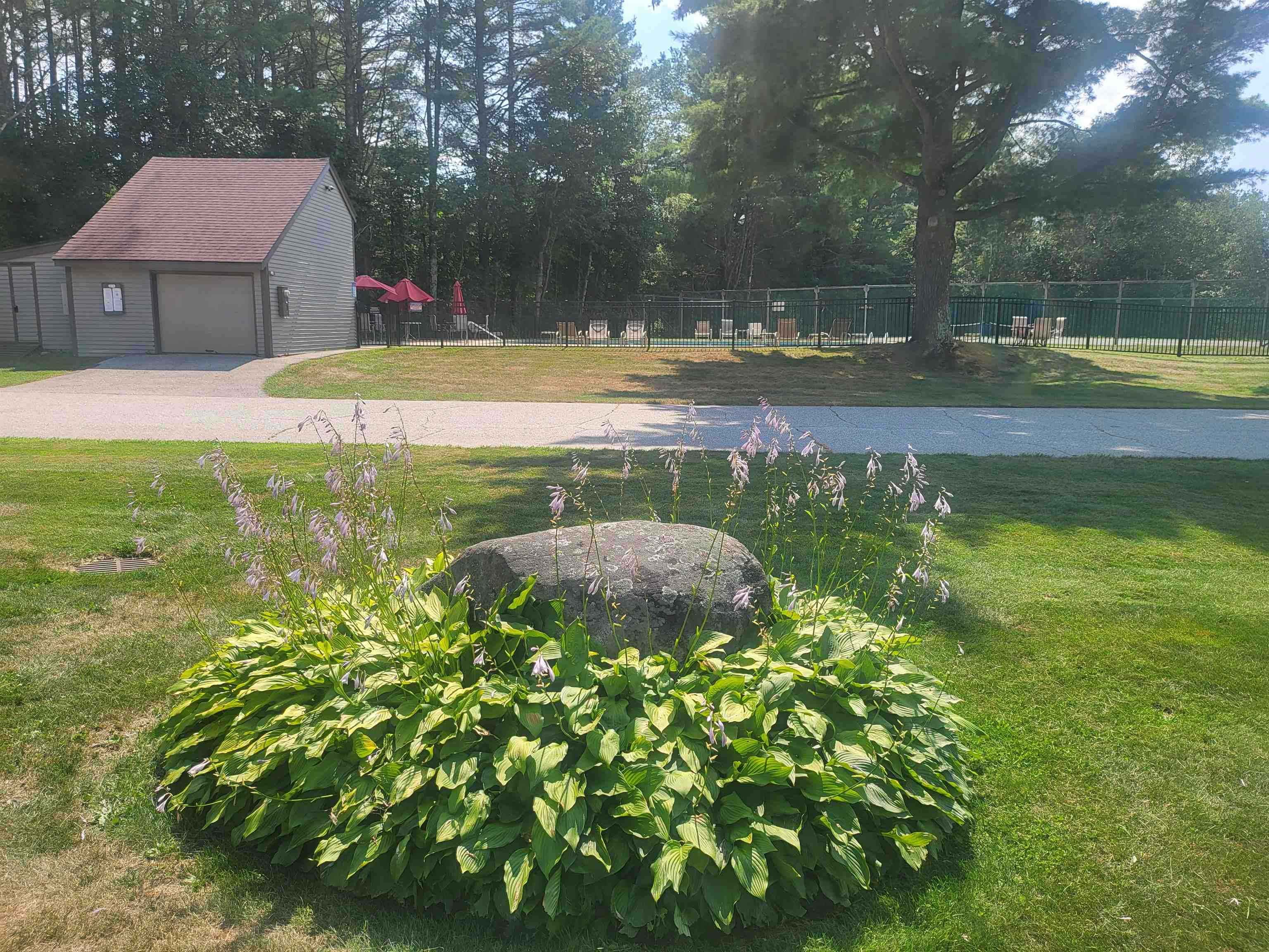 MLS #5054911 image #13