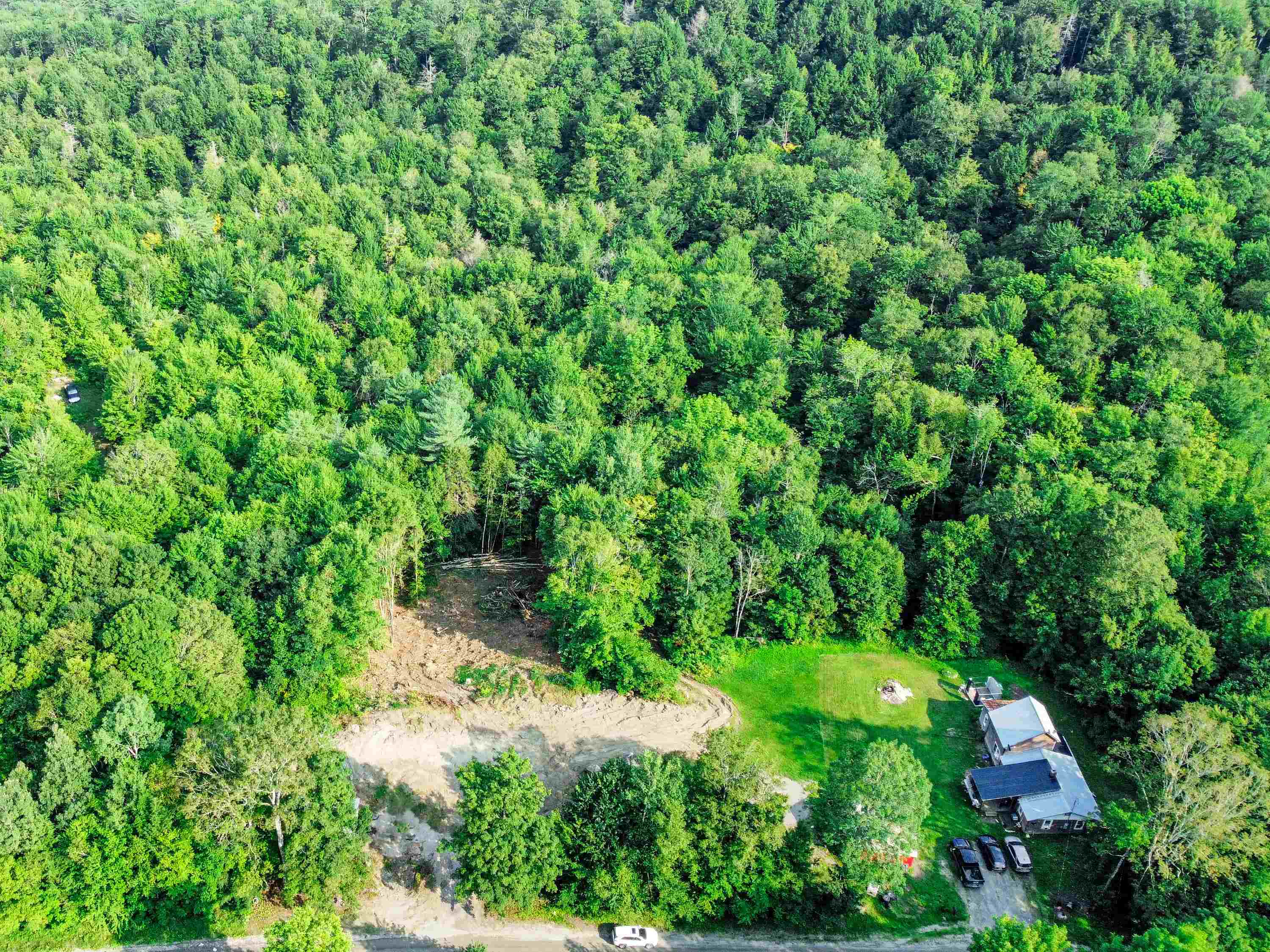 Lots of Woods!