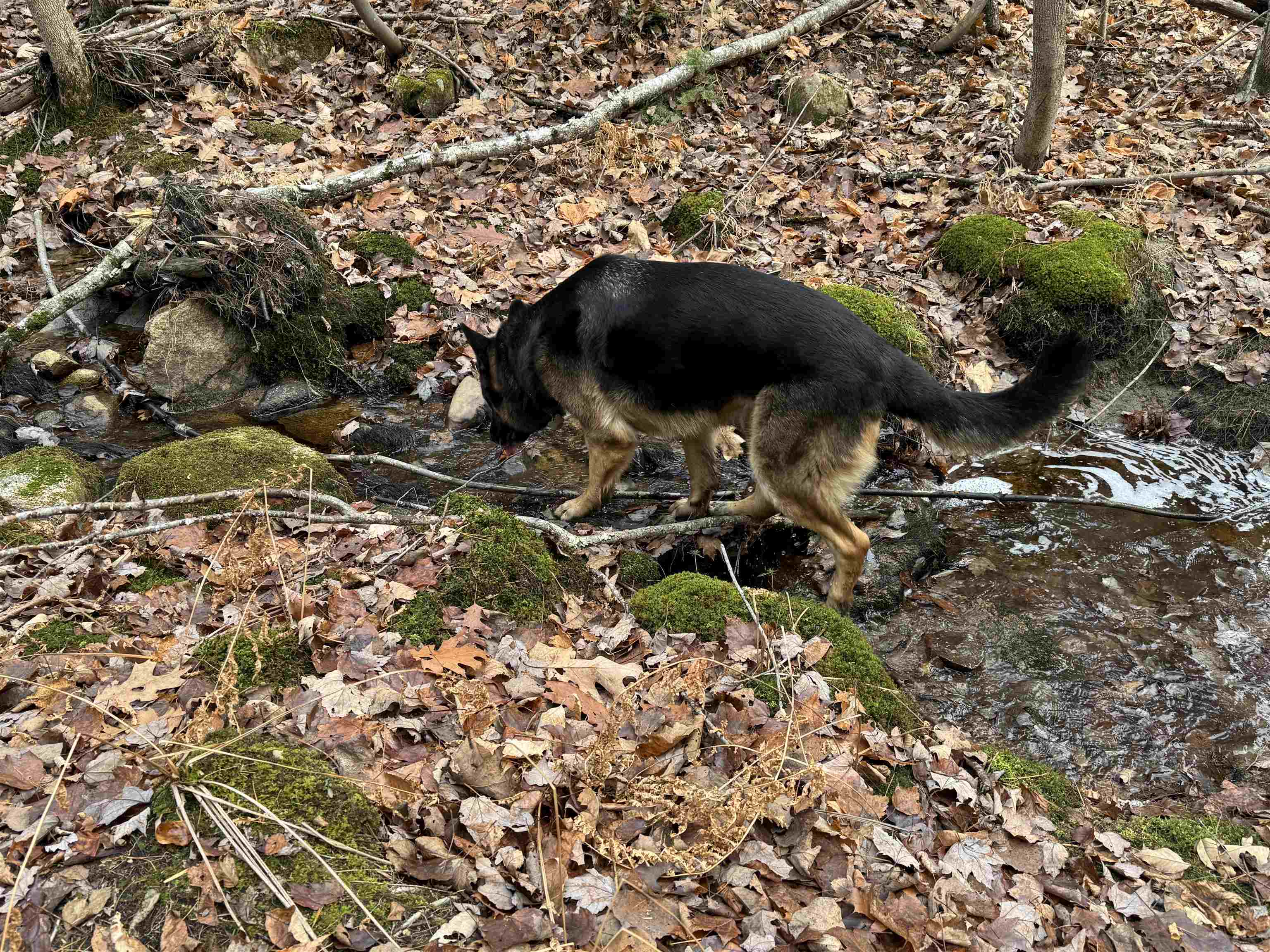 MLS #5055110 image #10