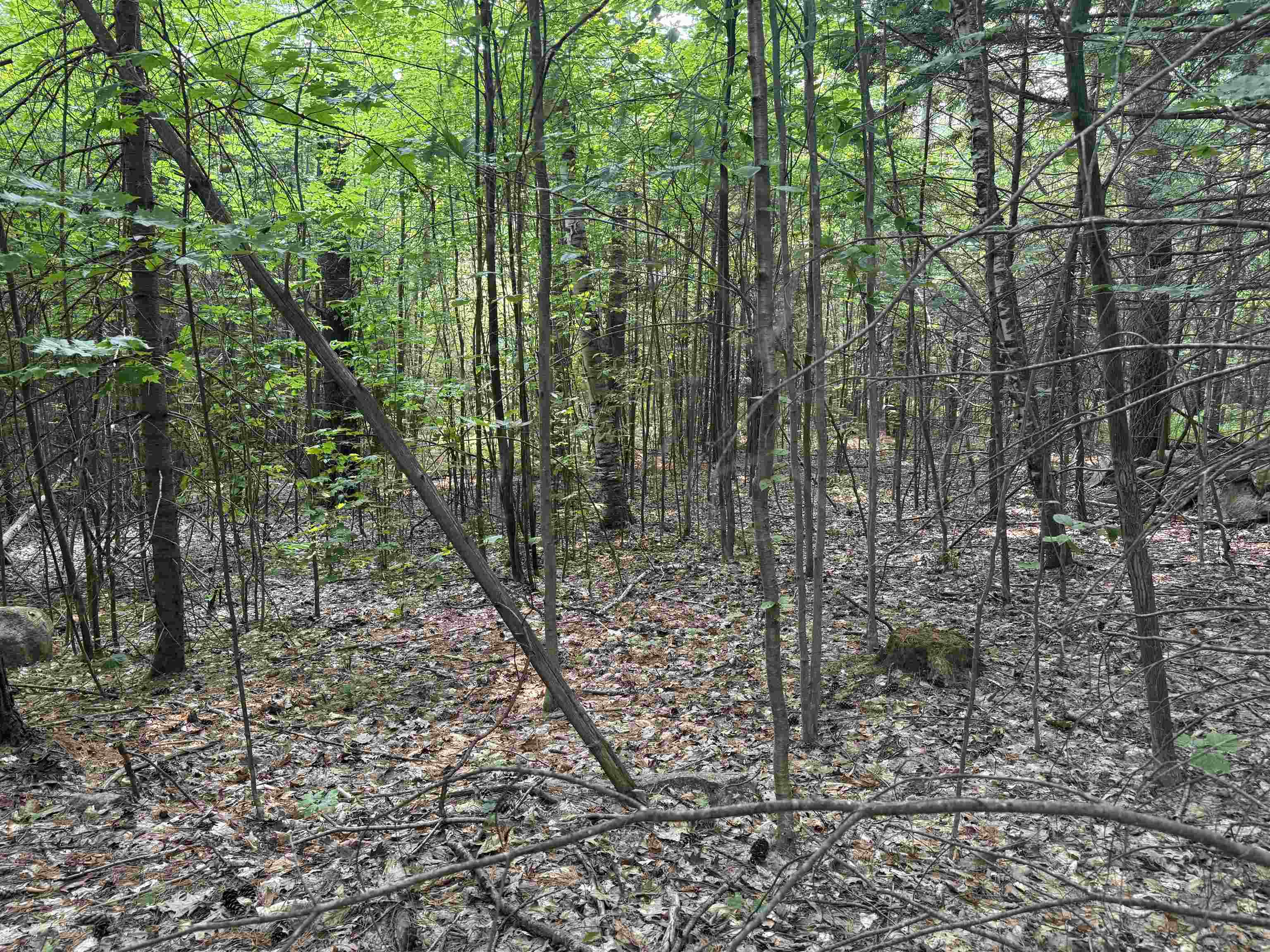 MLS #5055110 image #11