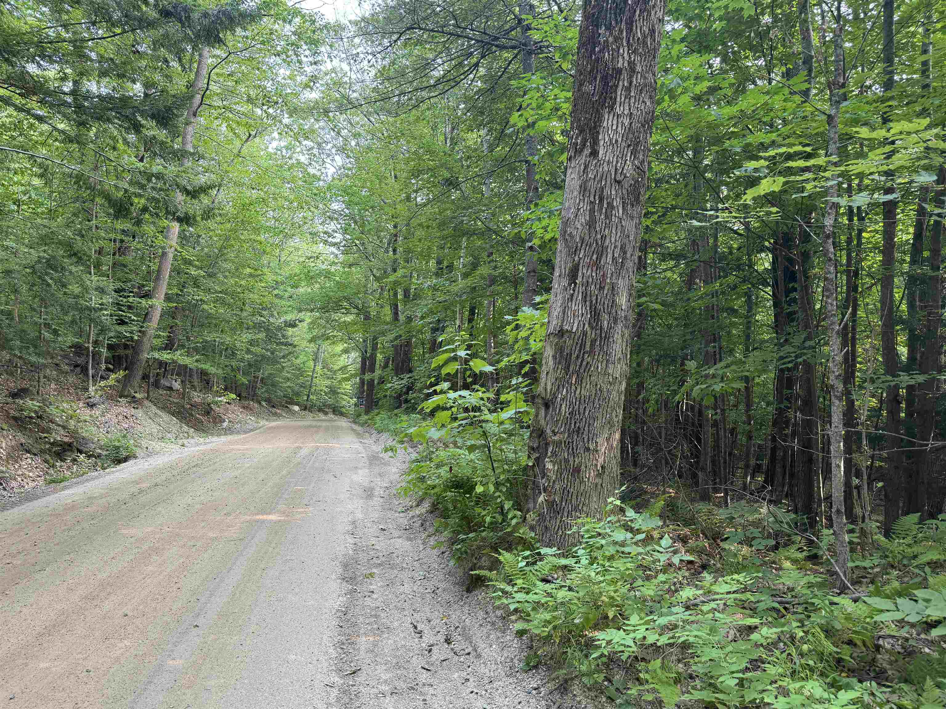 MLS #5055110 image #12