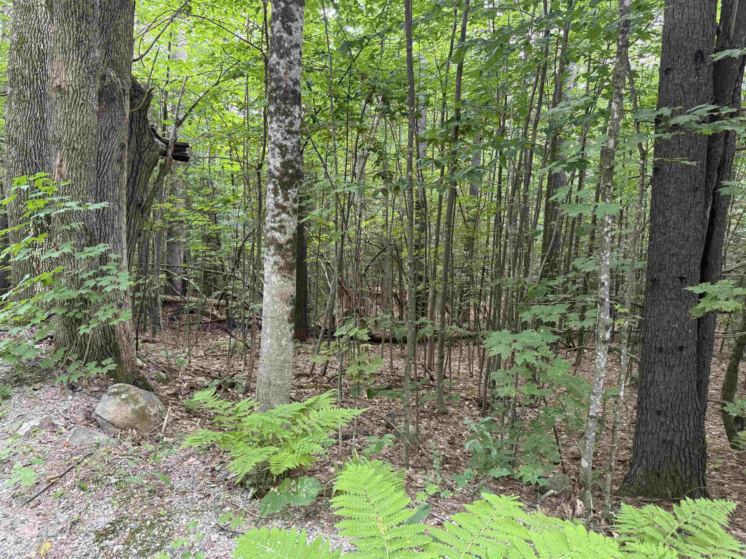 MLS #5055110 image #14