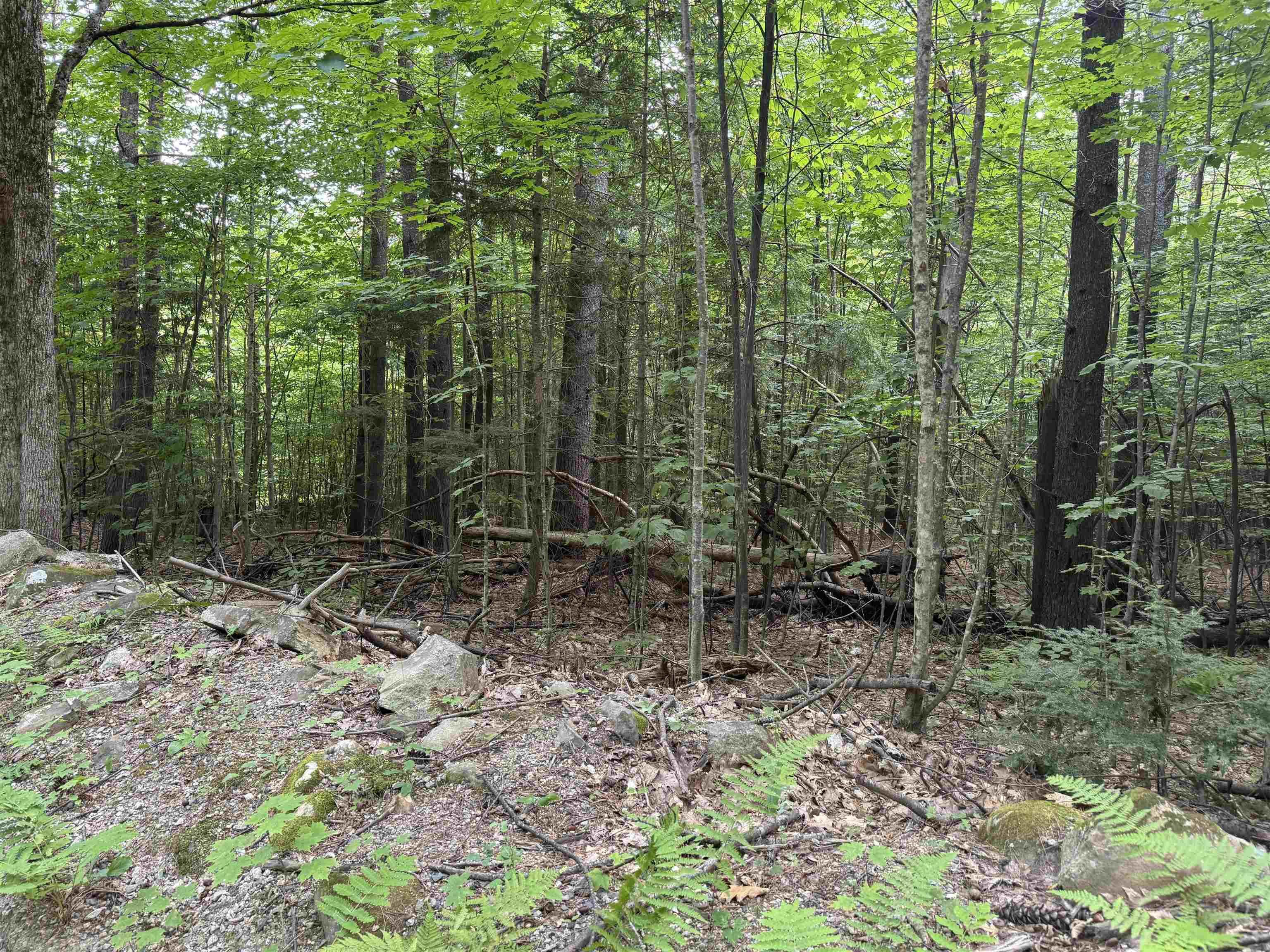 MLS #5055110 image #15