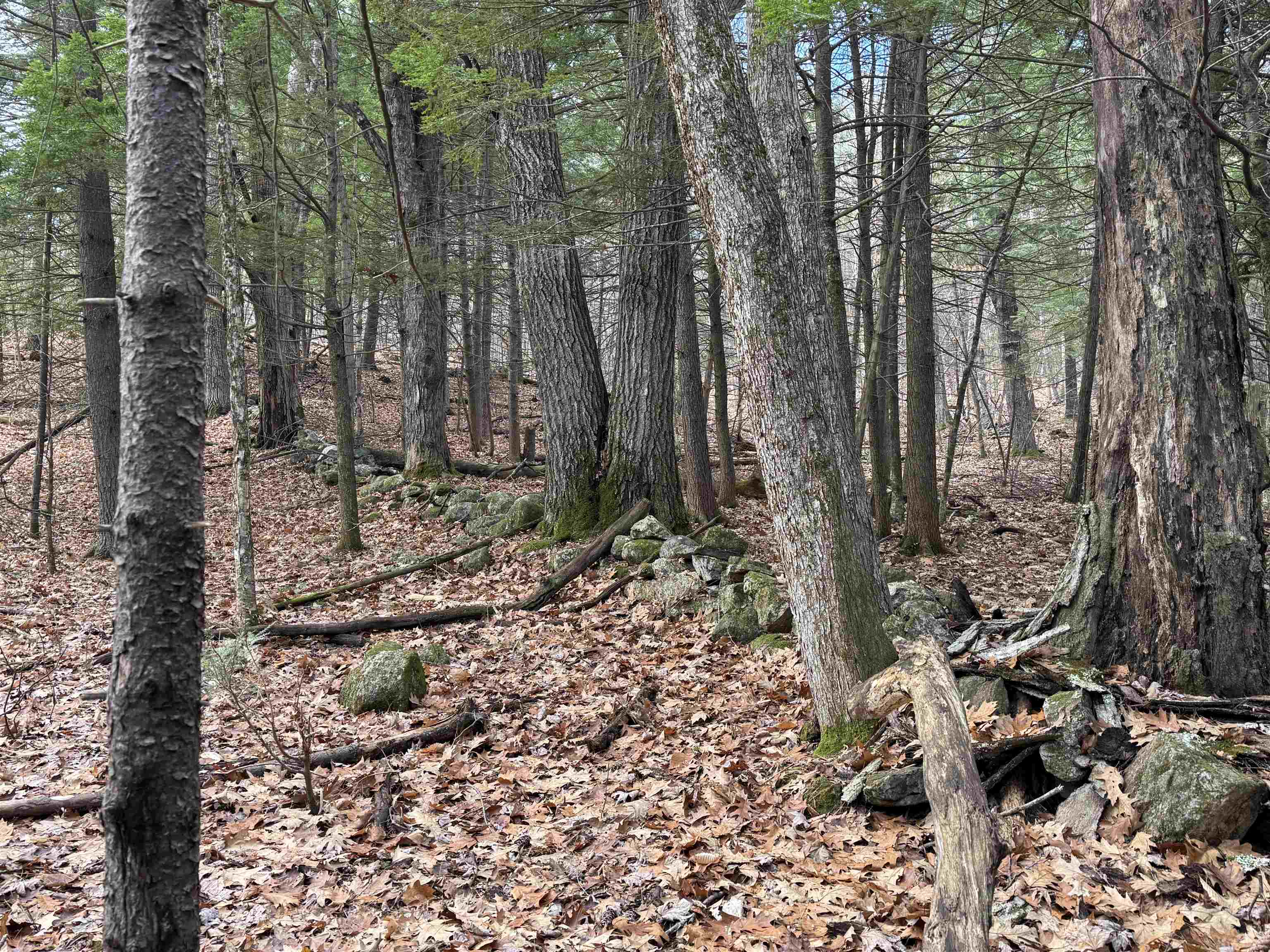 MLS #5055110 image #16