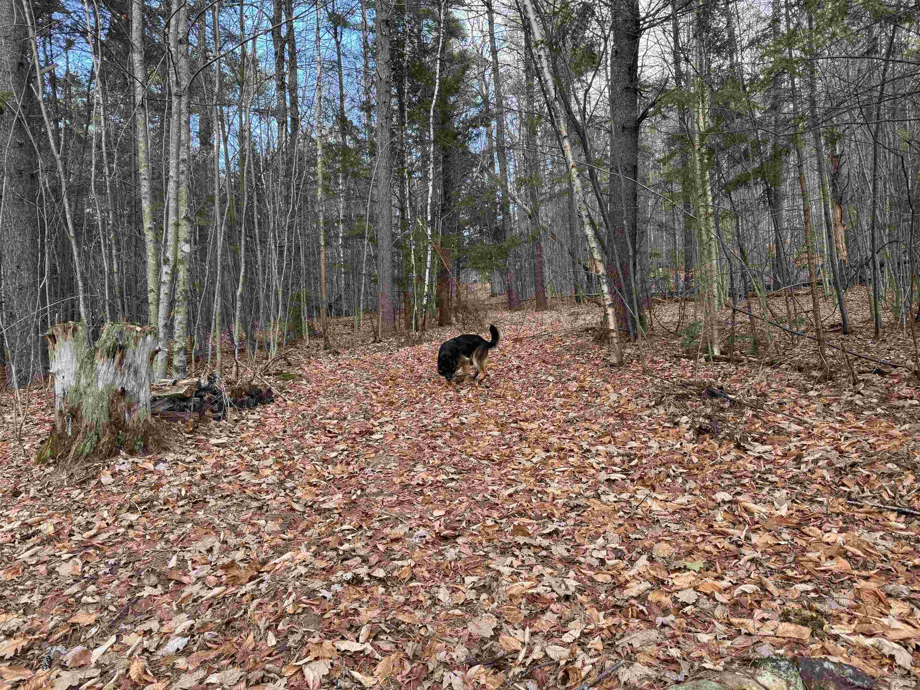 MLS #5055110 image #18