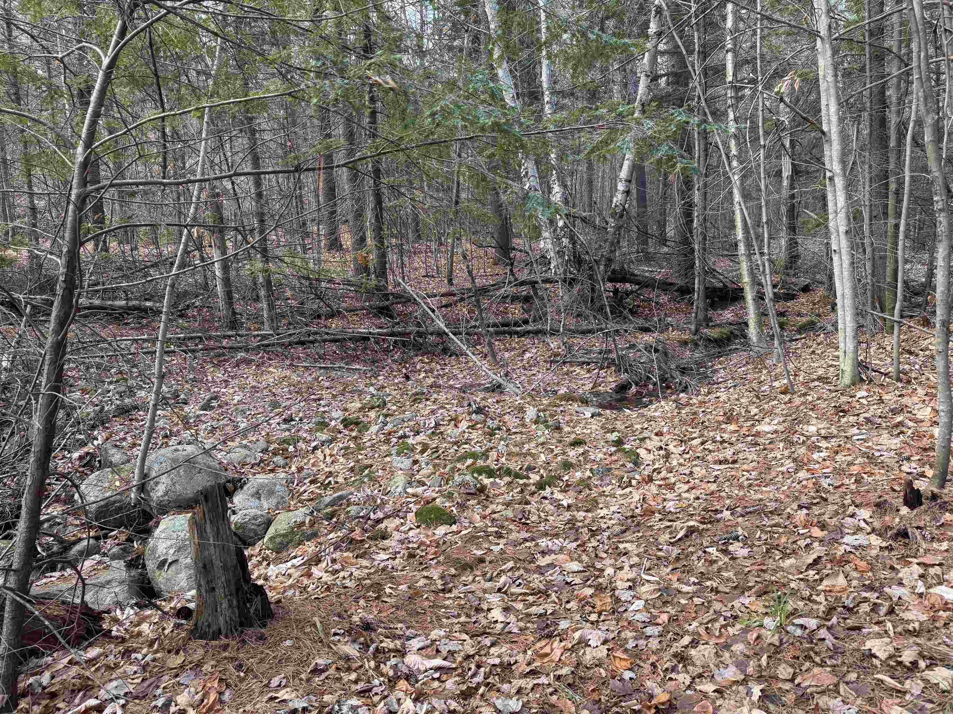 MLS #5055110 image #19