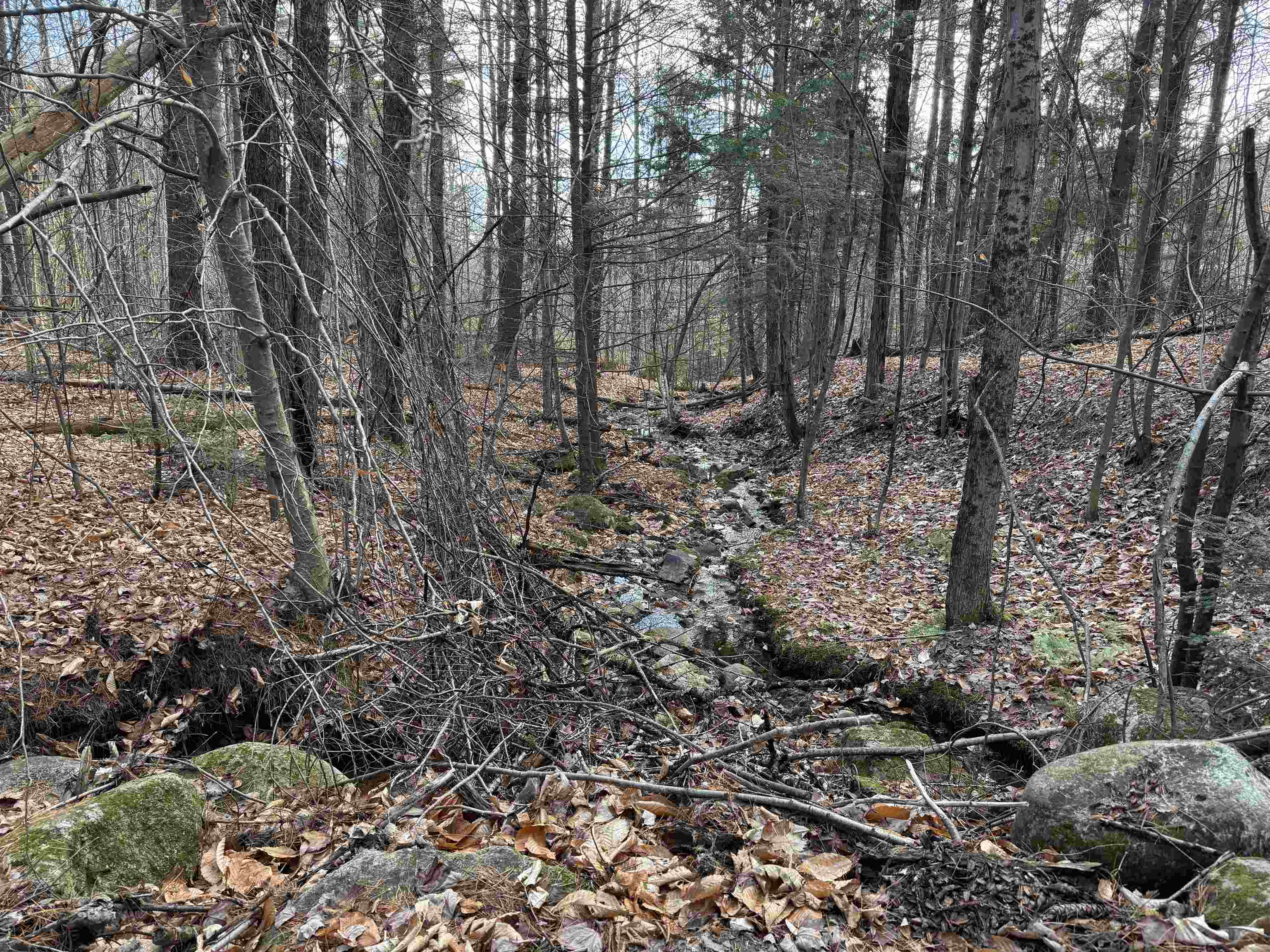 MLS #5055110 image #20