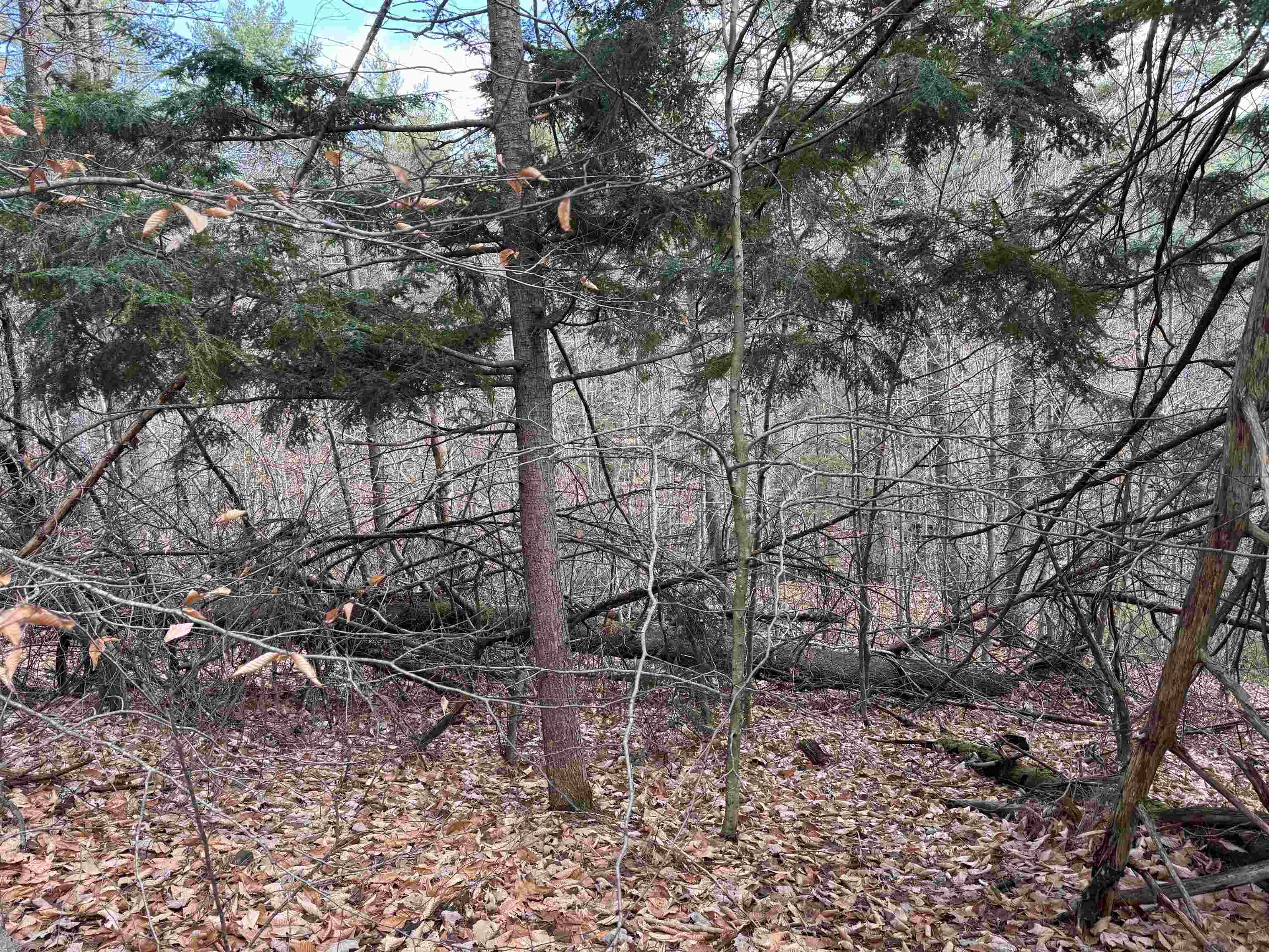 MLS #5055110 image #21