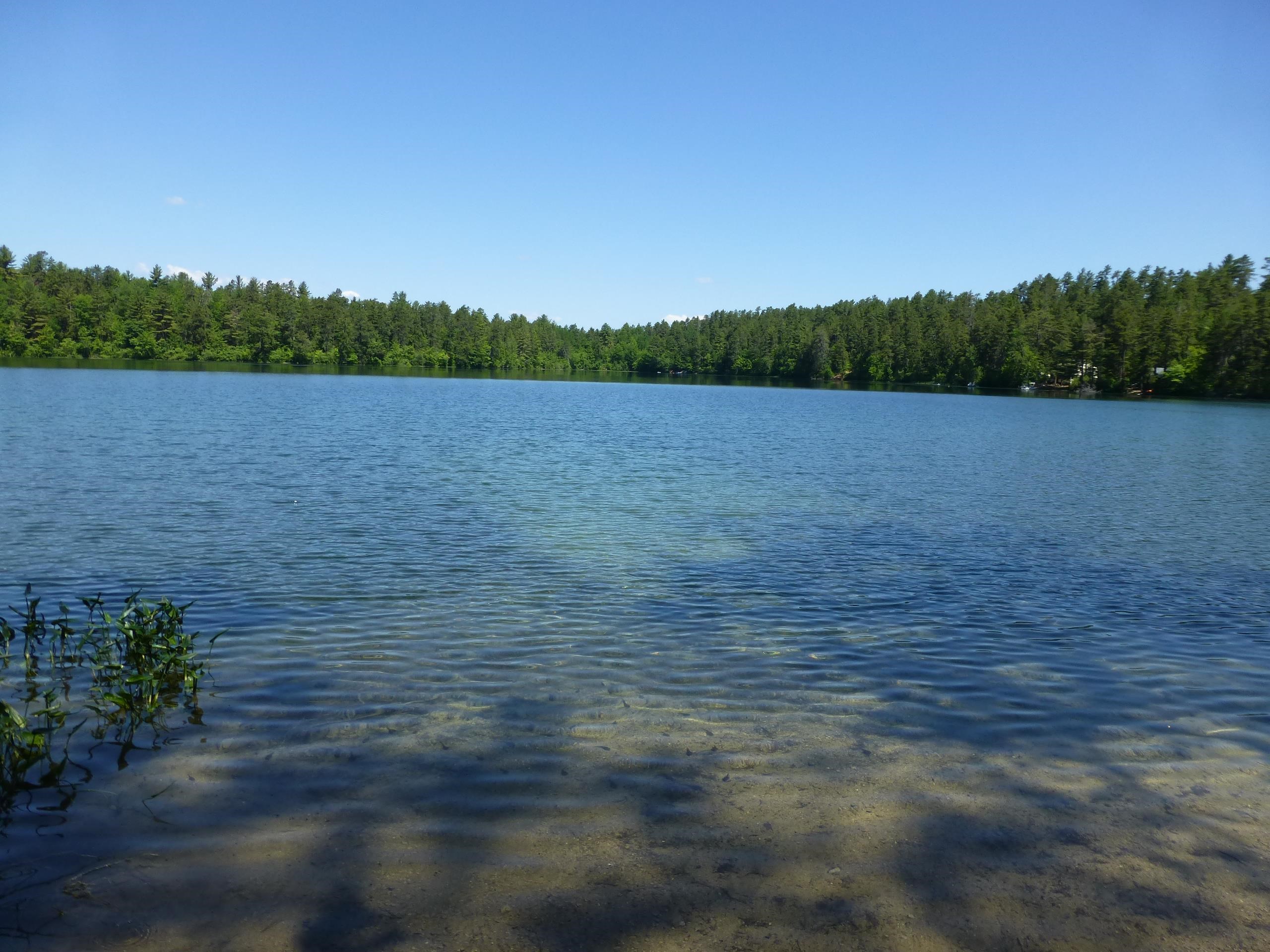 MLS #5055110 image #29