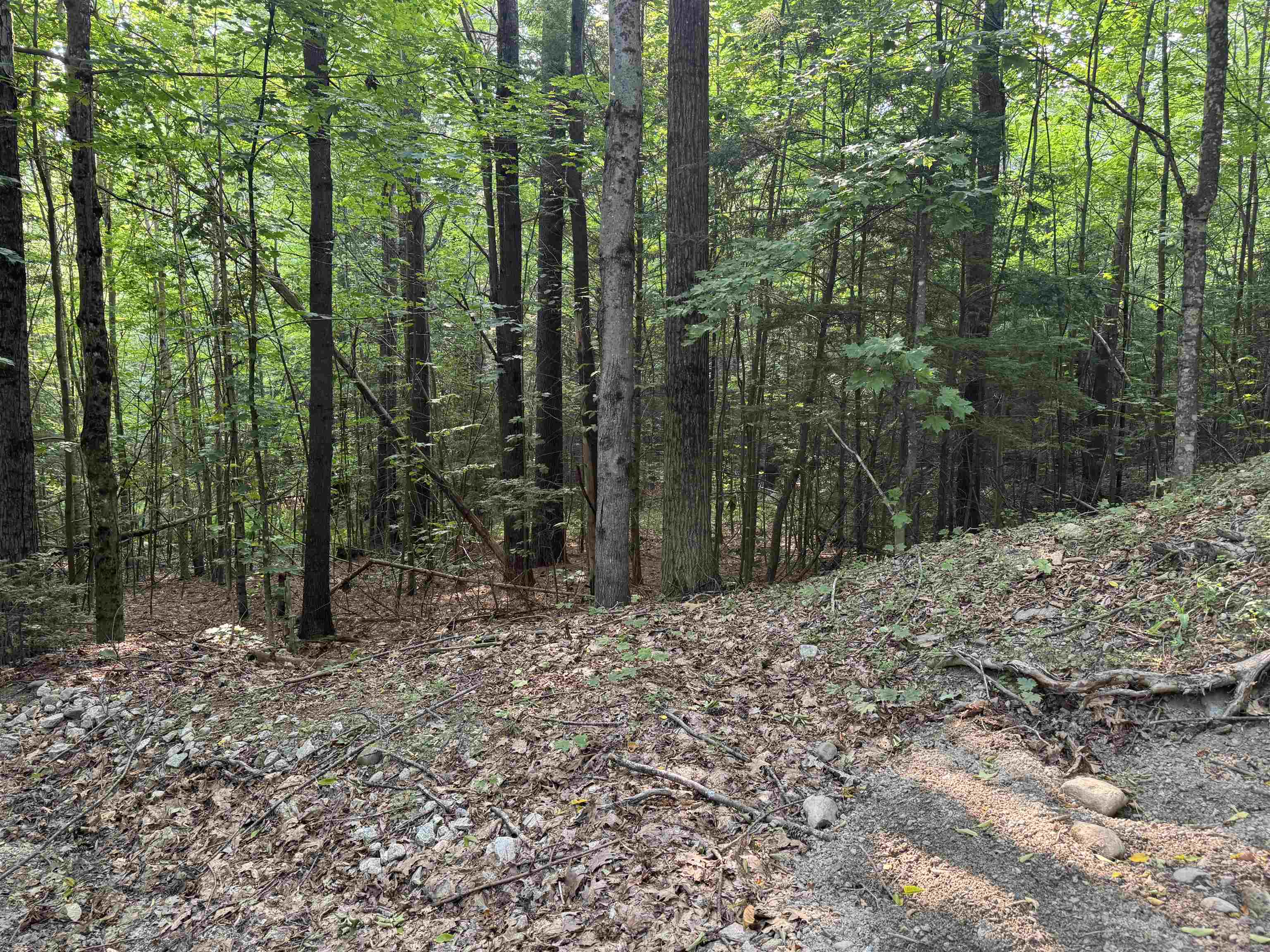 MLS #5055110 image #4