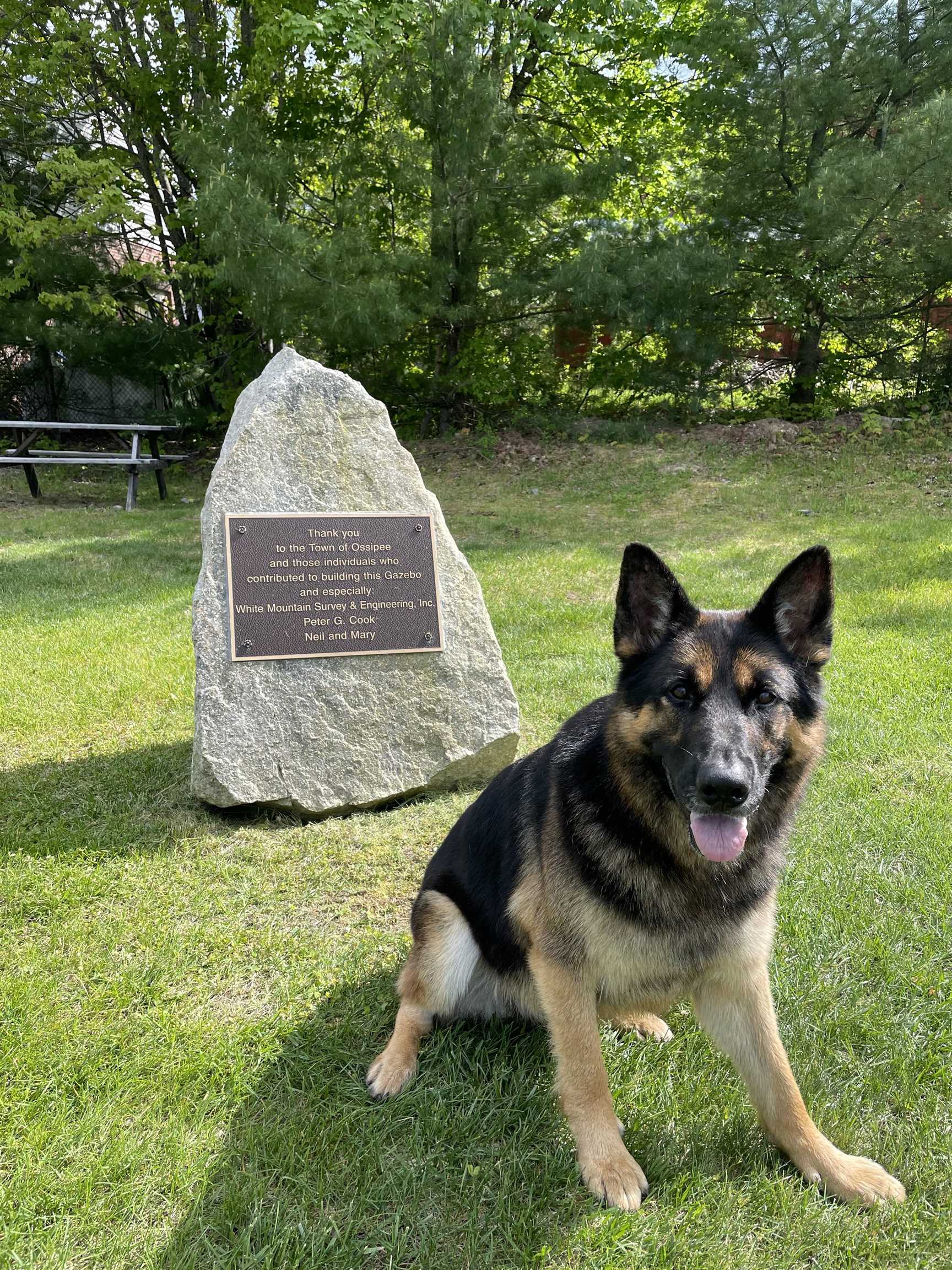 MLS #5055110 image #44